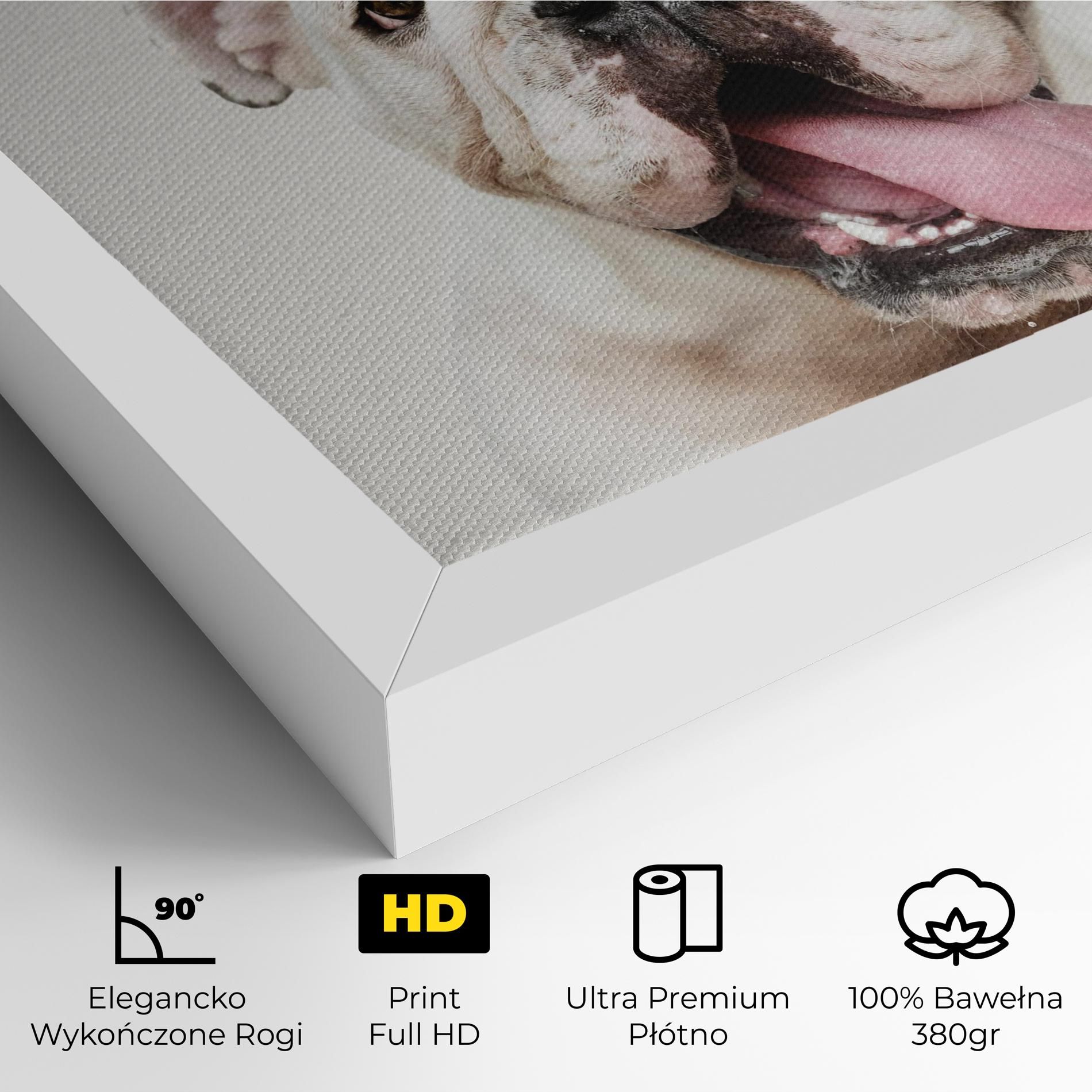 Bulldog Wearing Crown mockup 4