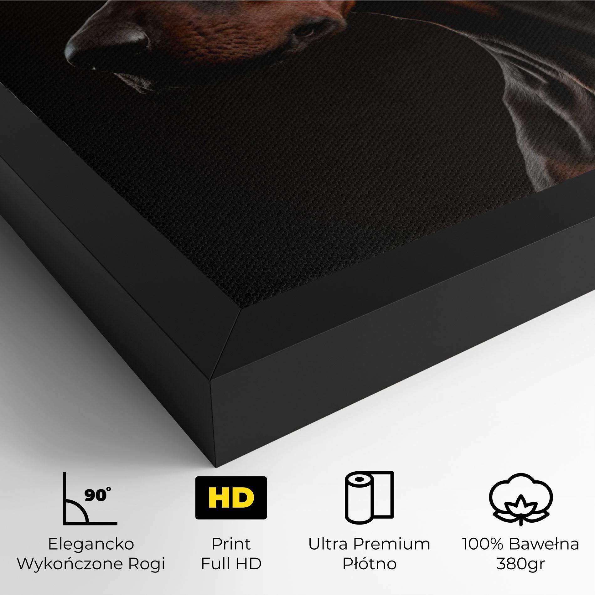 Obraz na Płótnie Doberman Dog Portrait mockup 4