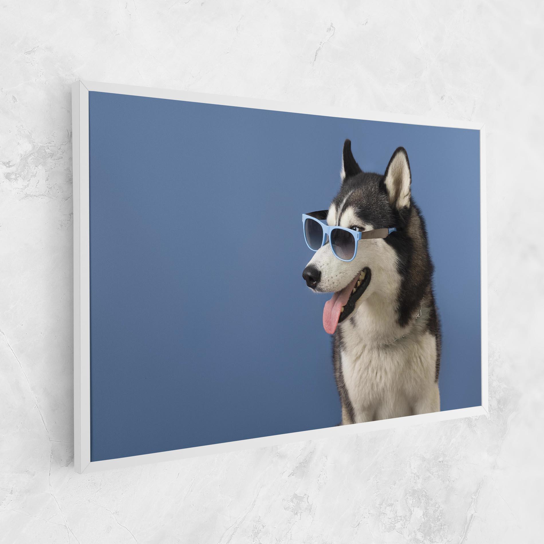 Obraz na Płótnie Blue Glasses Dog mockup 1