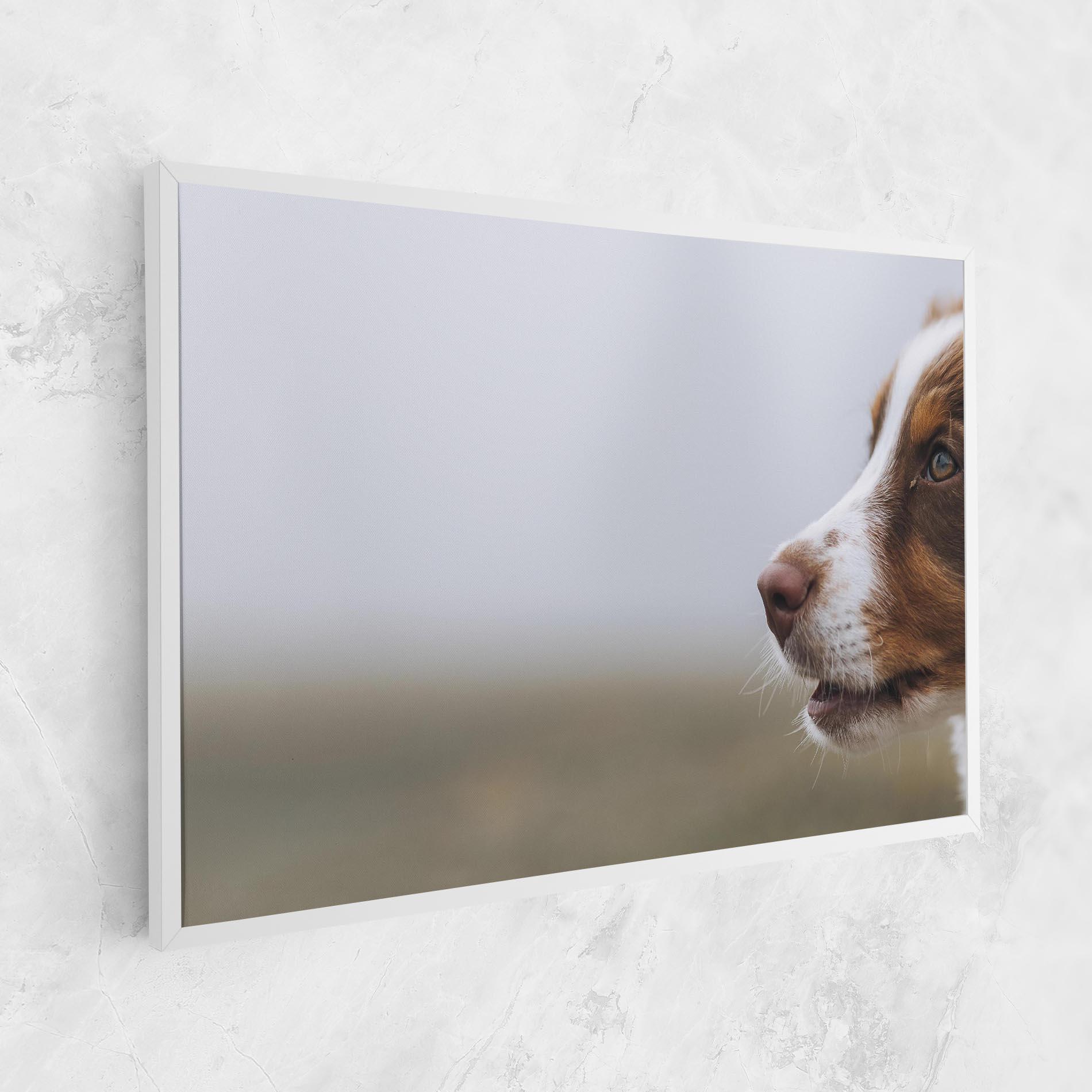 Obraz na Płótnie Brown White Dog mockup 1