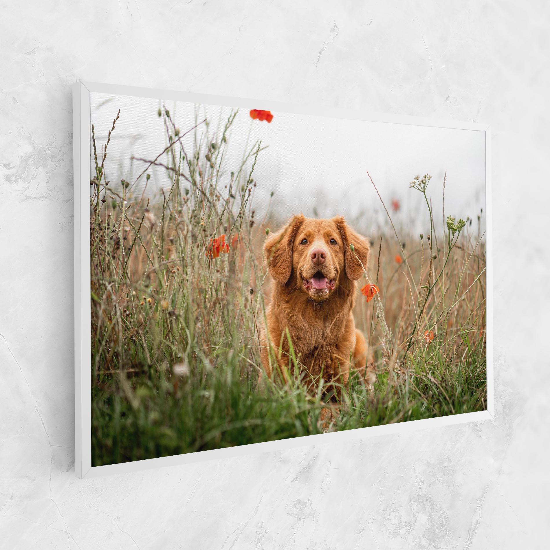 Obraz na Płótnie Red Flowers Dog mockup 1