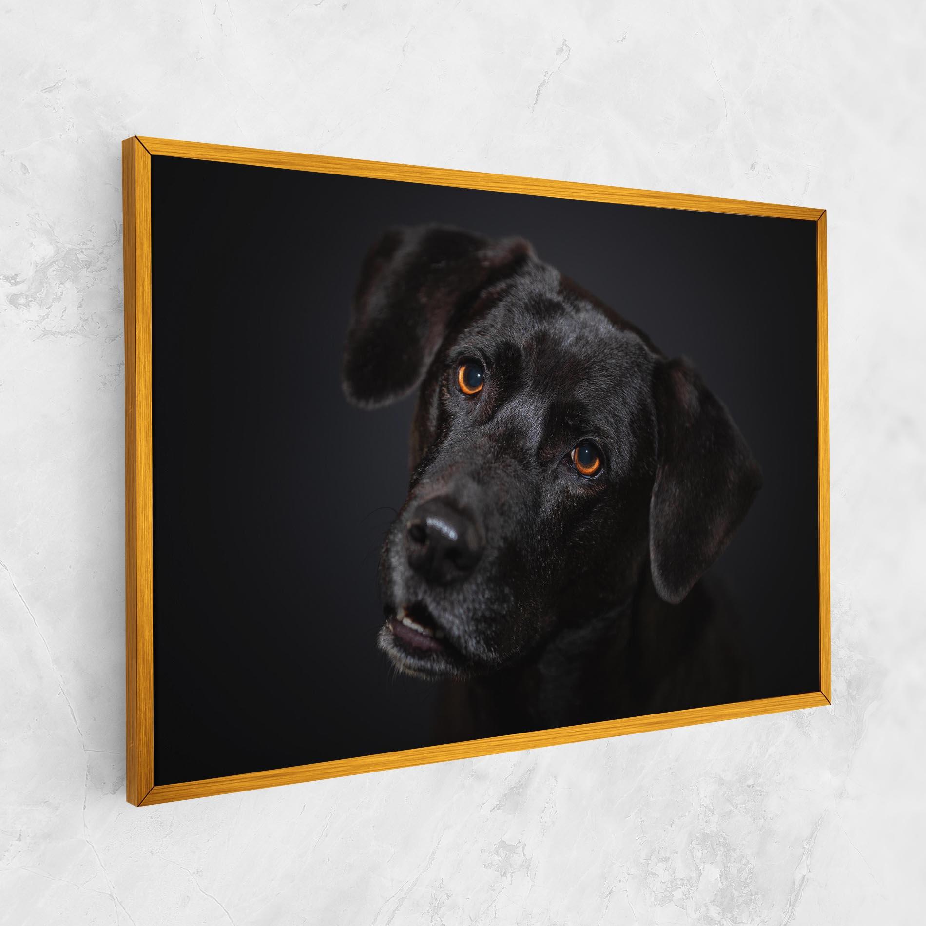 Obraz na Płótnie Black Dog Portrait mockup 1