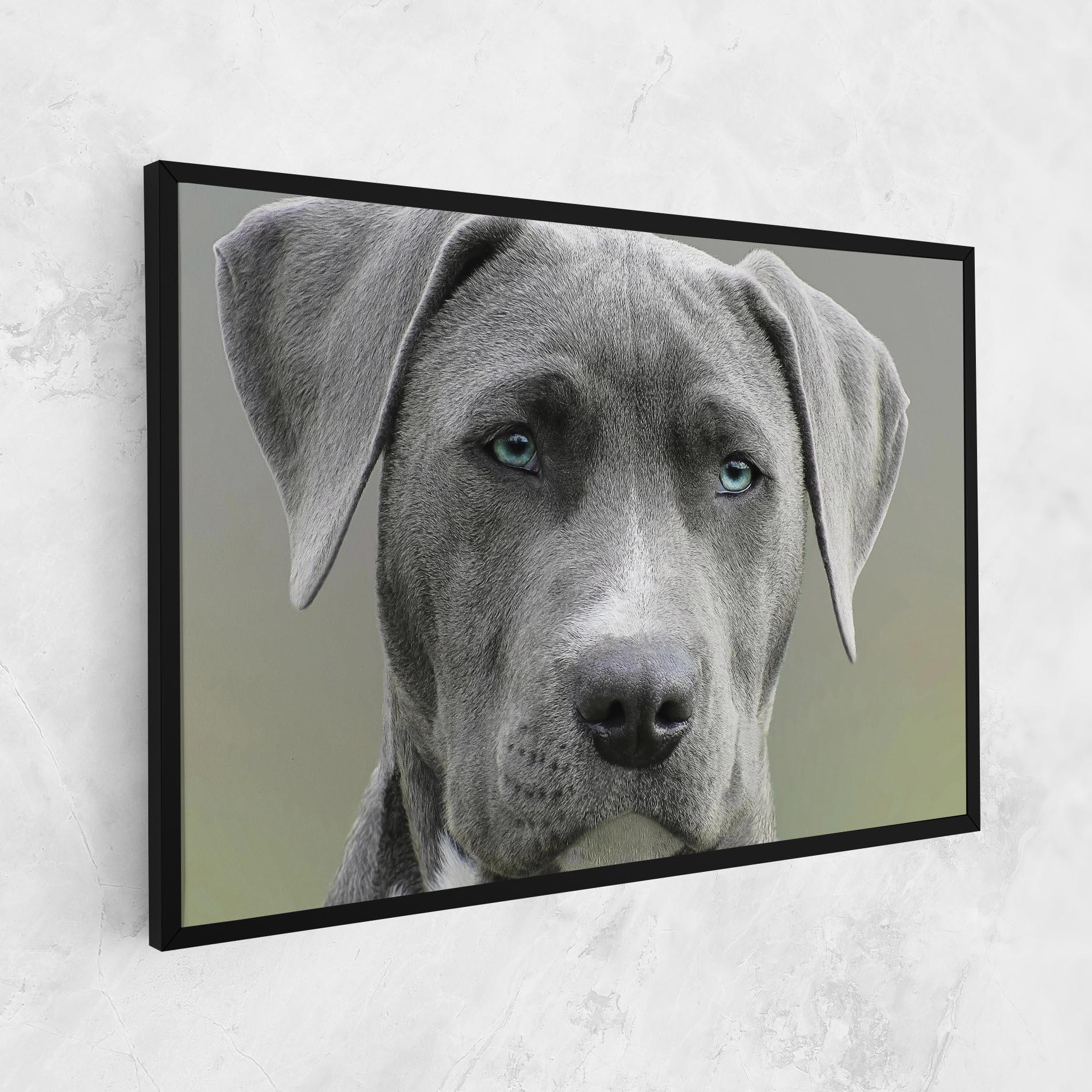 Obraz na Płótnie Blue Eyes Dog mockup 1