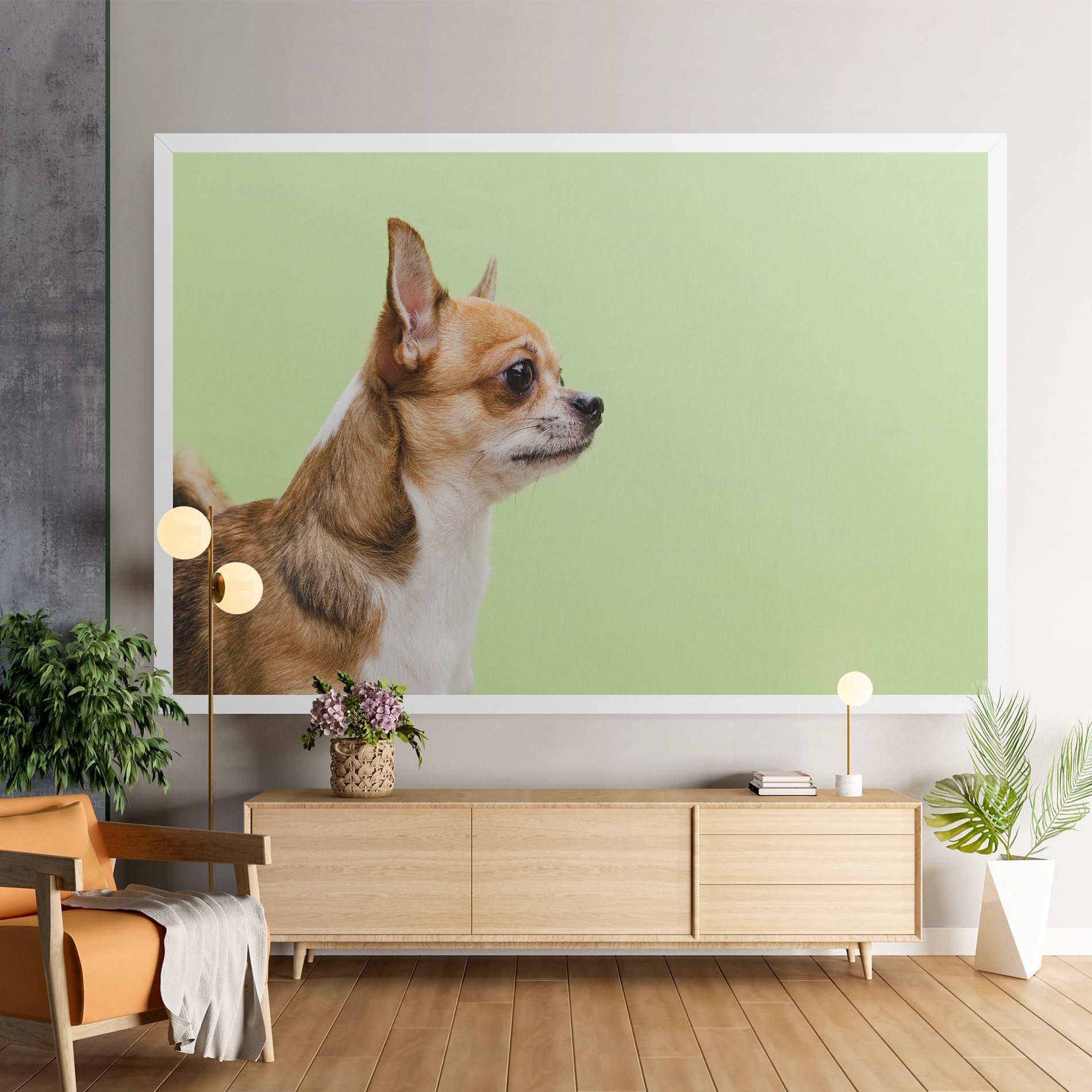 Chihuahua Dog mockup 9