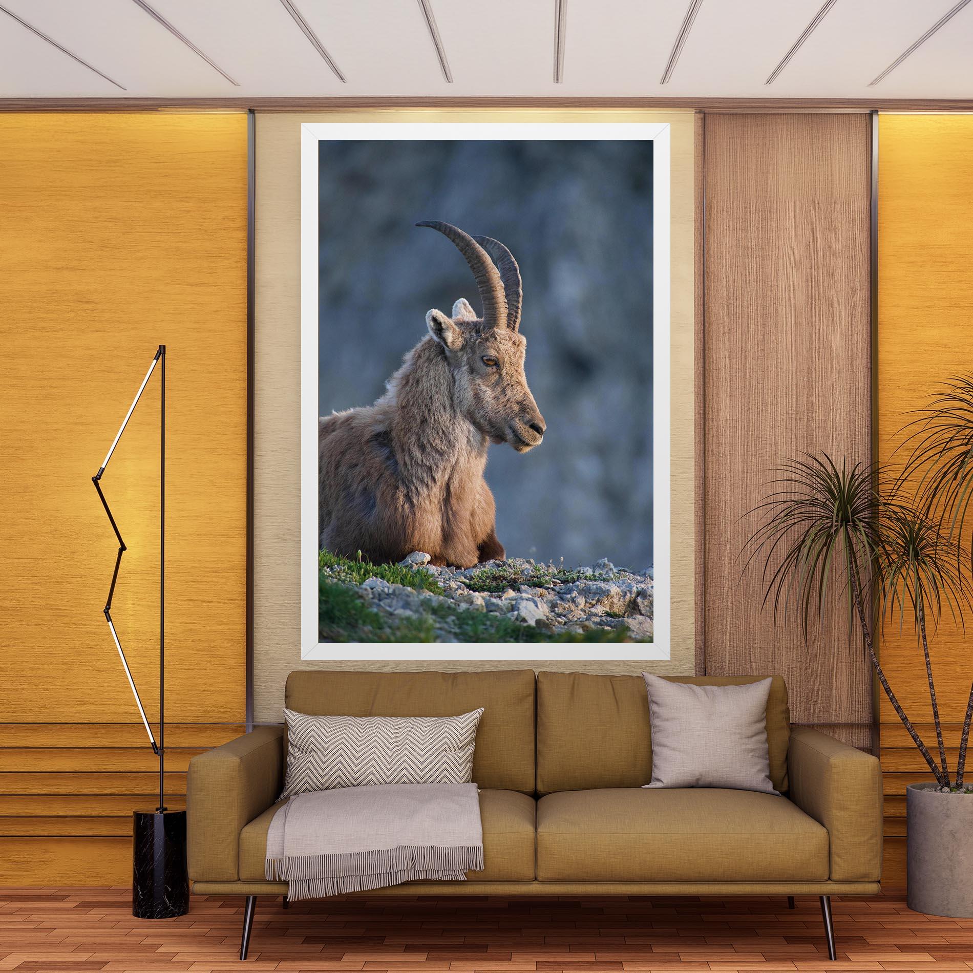 Obraz na Płótnie Mountain Goat mockup 9