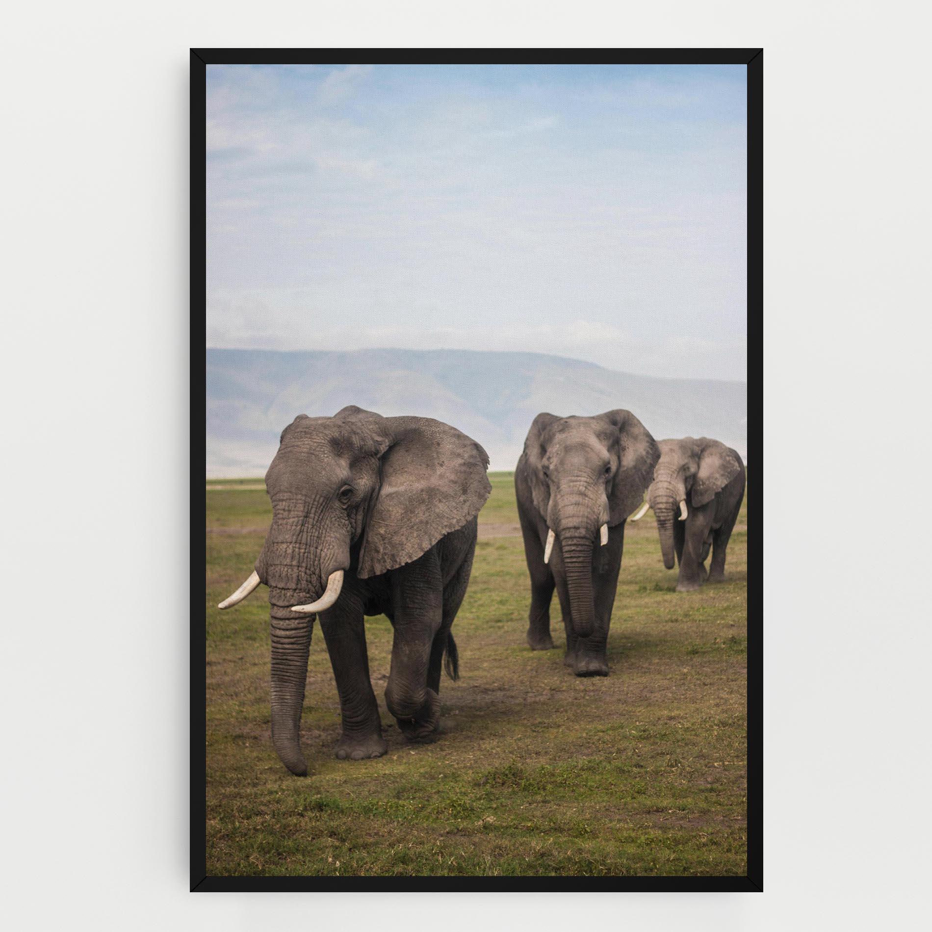 Obraz na Płótnie Elephant Landscape mockup 0
