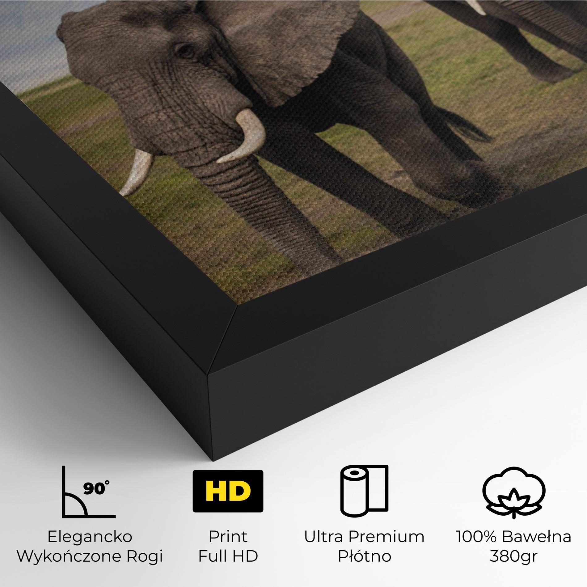 Obraz na Płótnie Elephant Landscape mockup 4