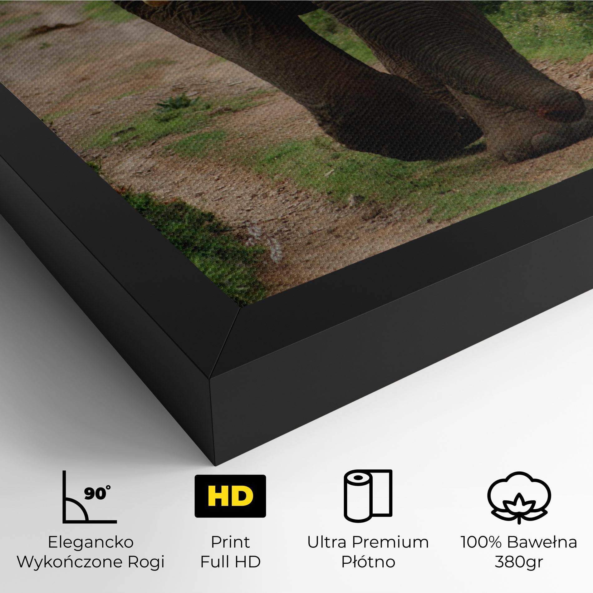 Obraz na Płótnie Elephant Safari mockup 4