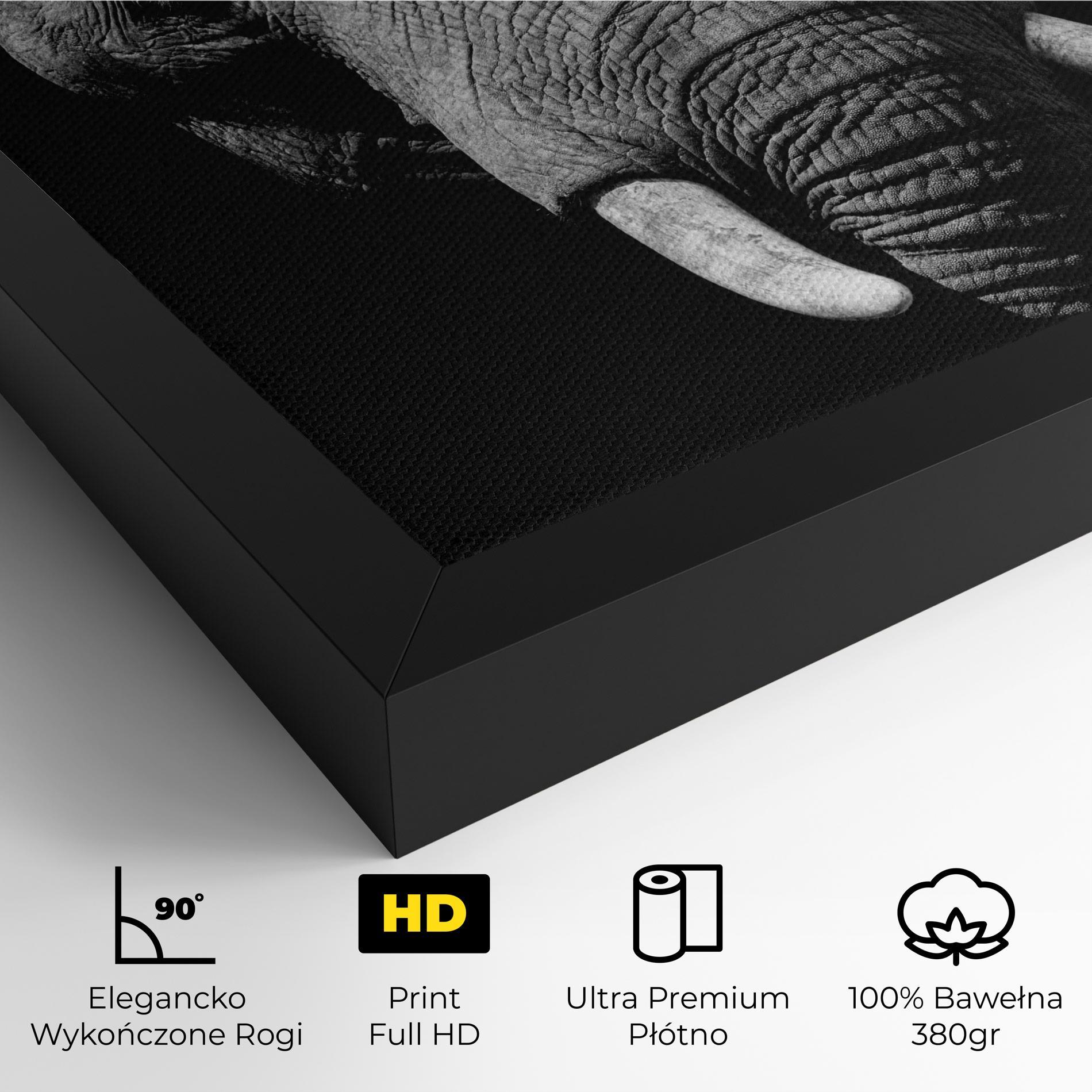 Obraz na Płótnie Shadow Elephant mockup 4