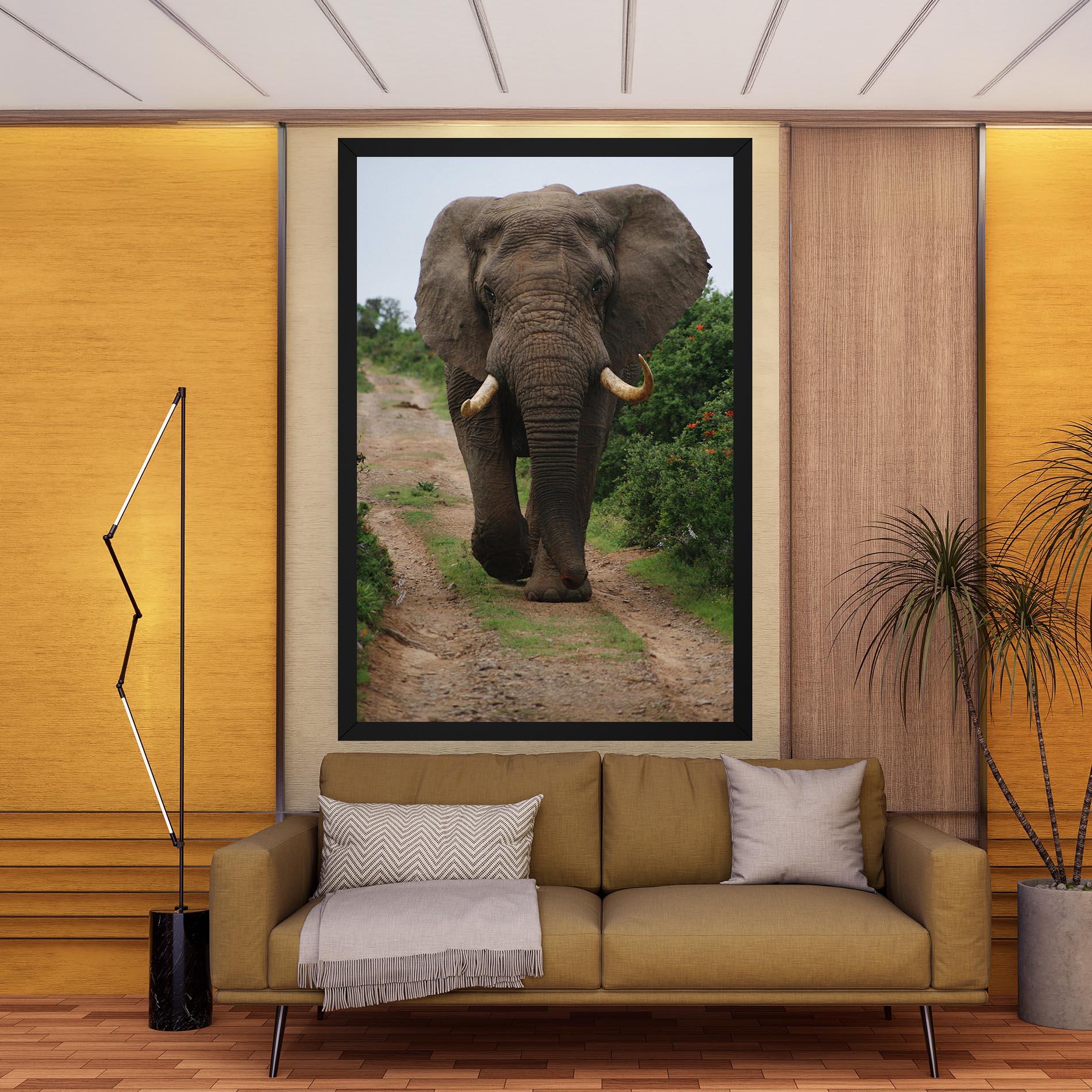 Obraz na Płótnie Elephant Safari mockup 9