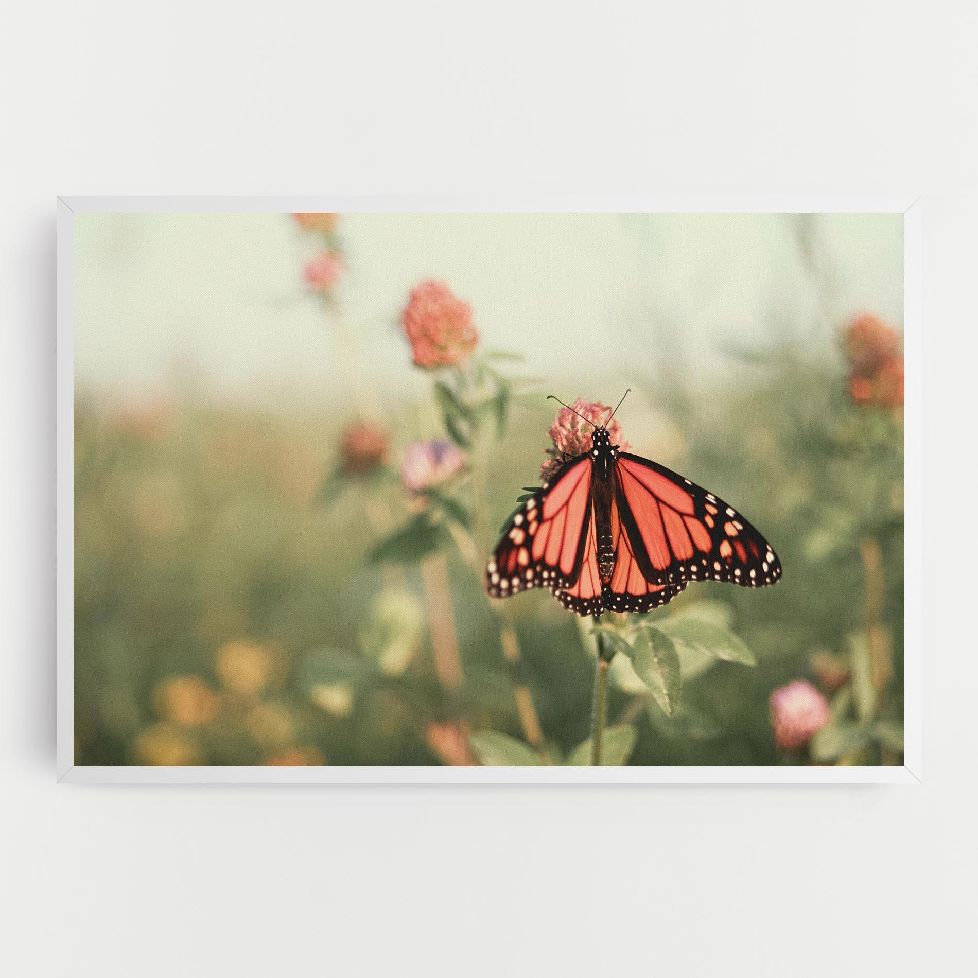 Obraz na Płótnie Light Red Butterfly mockup 0