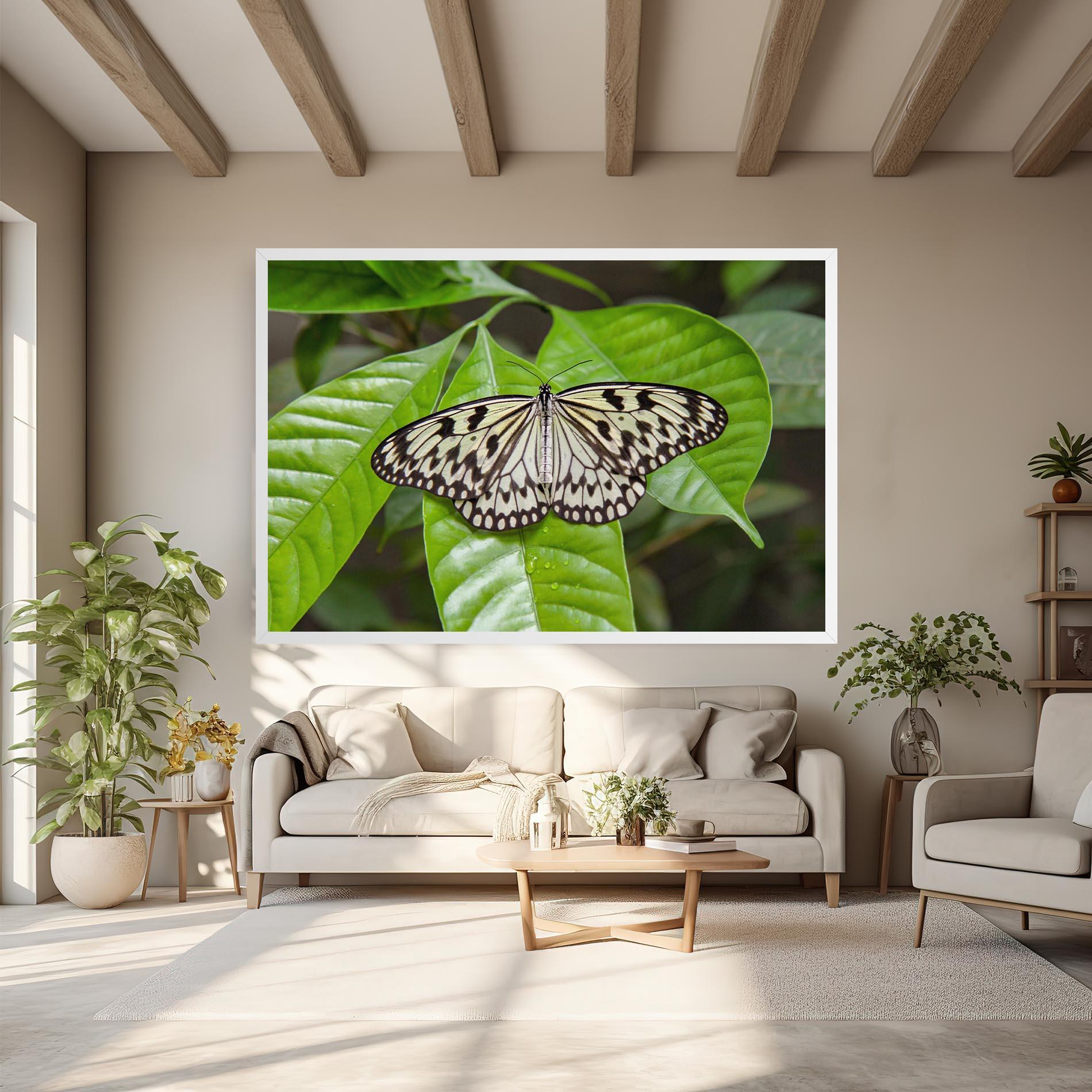 Obraz na Płótnie Beautiful White Butterfly mockup 6