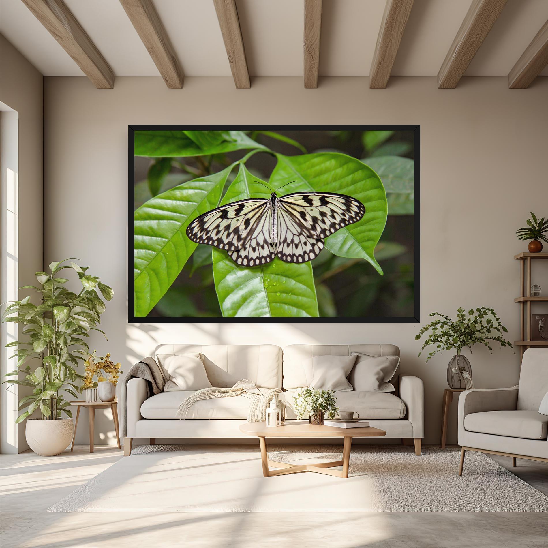 Obraz na Płótnie Beautiful White Butterfly mockup 6