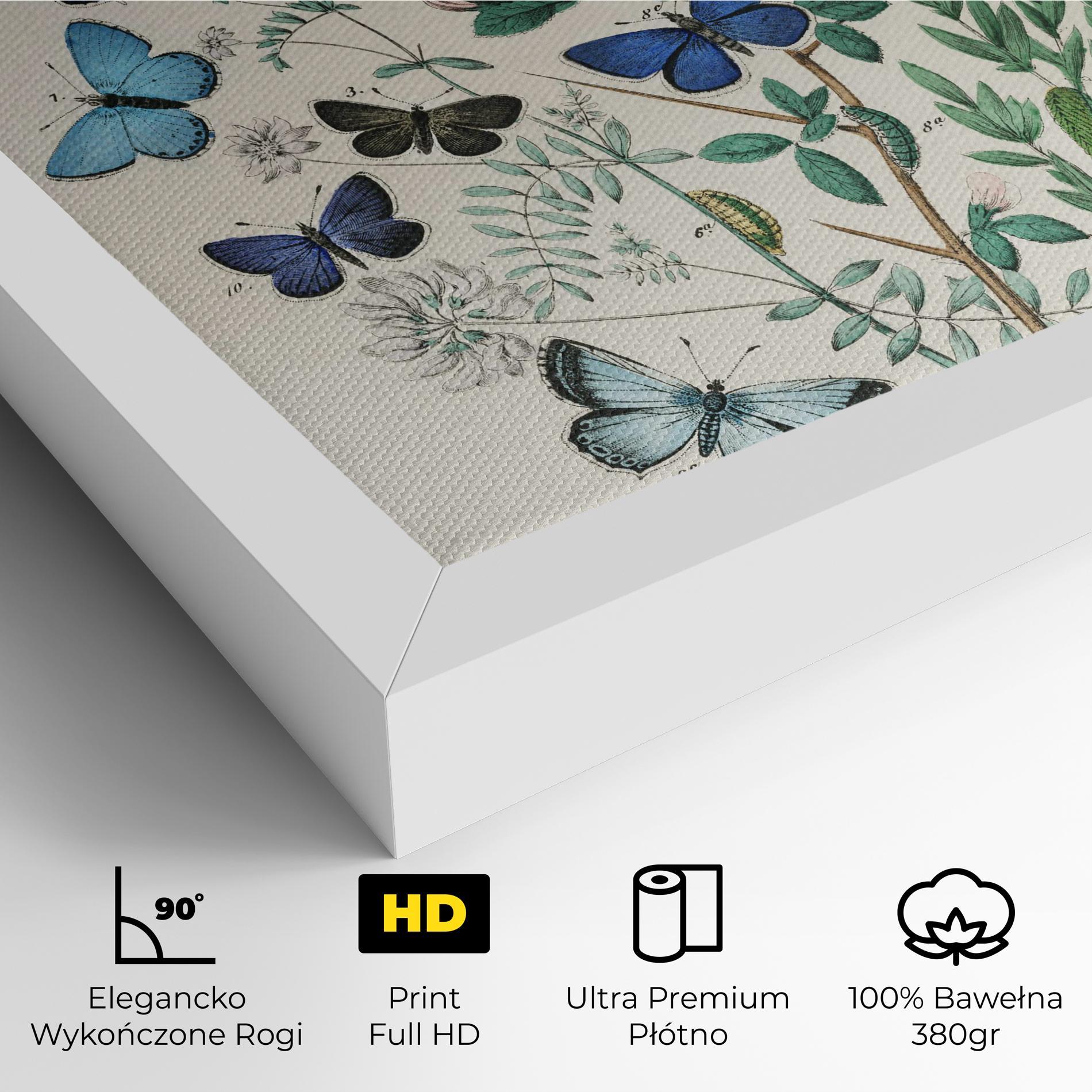 Obraz na Płótnie Blue Orange Butterflies mockup 4