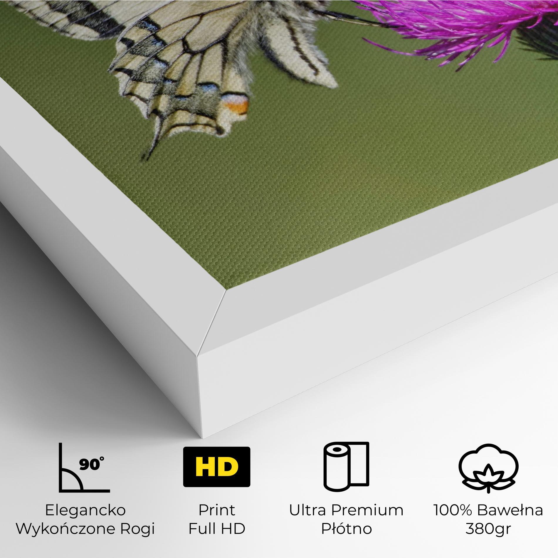 Obraz na Płótnie White Butterfly Pollen mockup 4