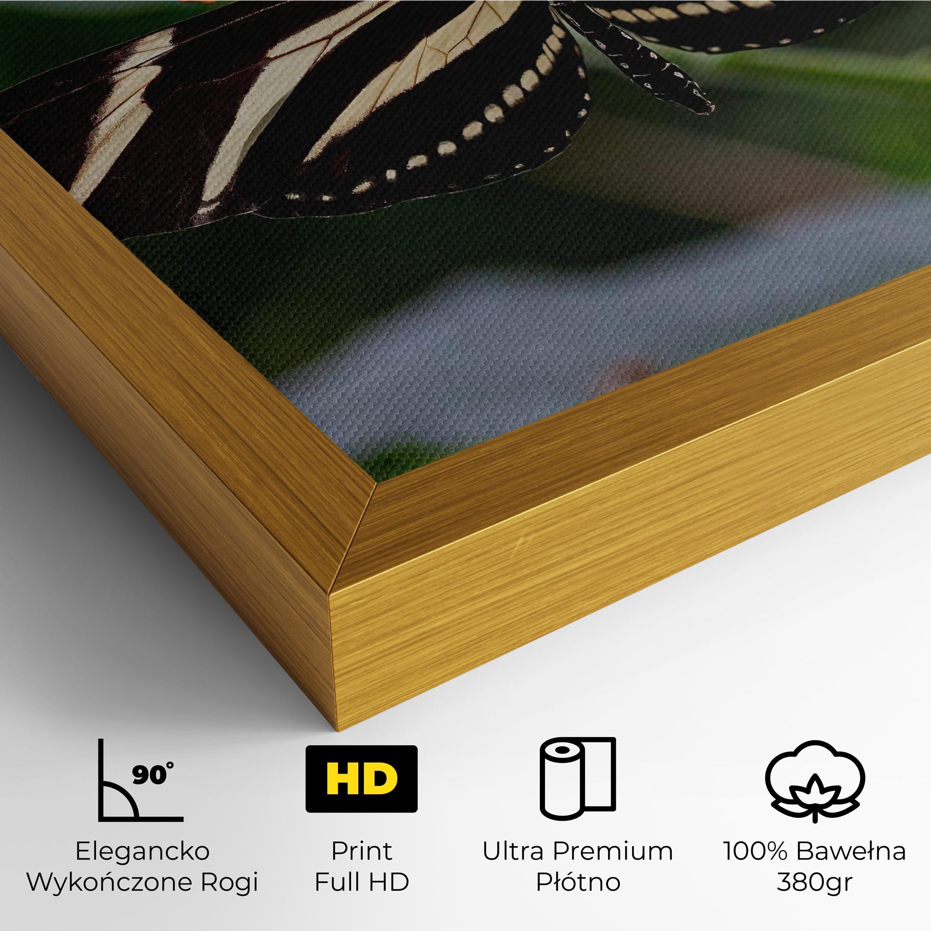Obraz na Płótnie Big Wings Butterfly mockup 4