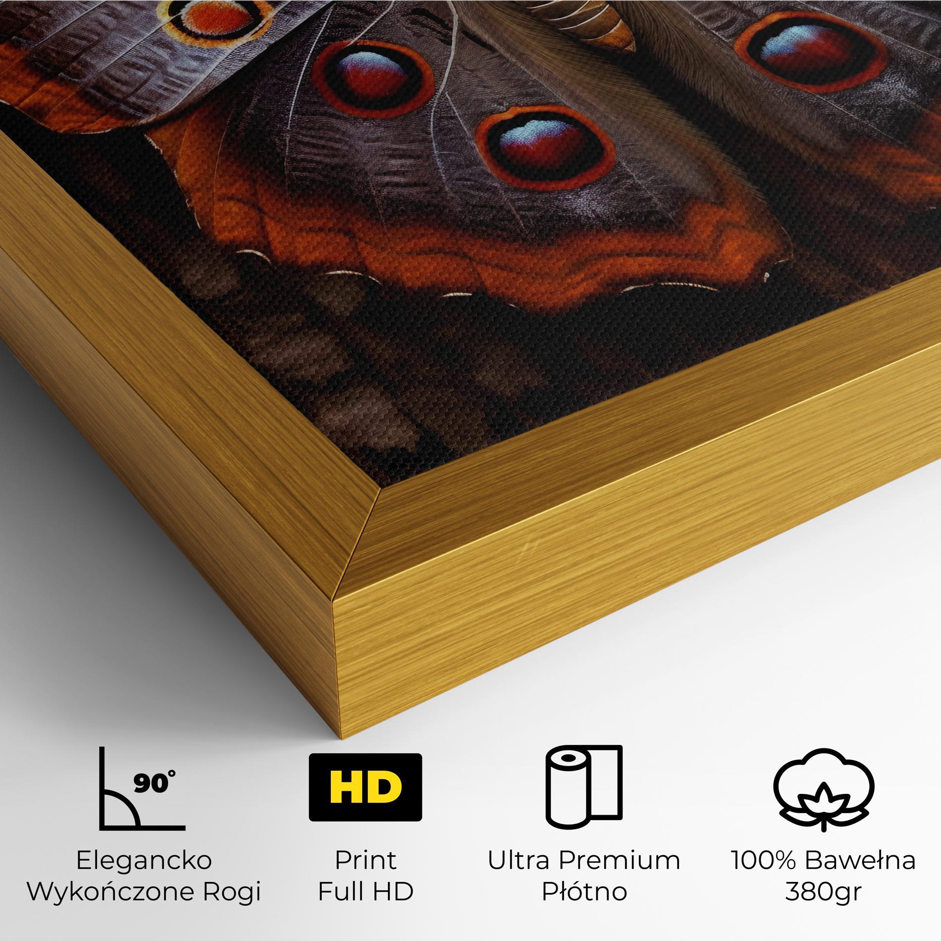 Obraz na Płótnie Brown Eyes Butterfly mockup 4