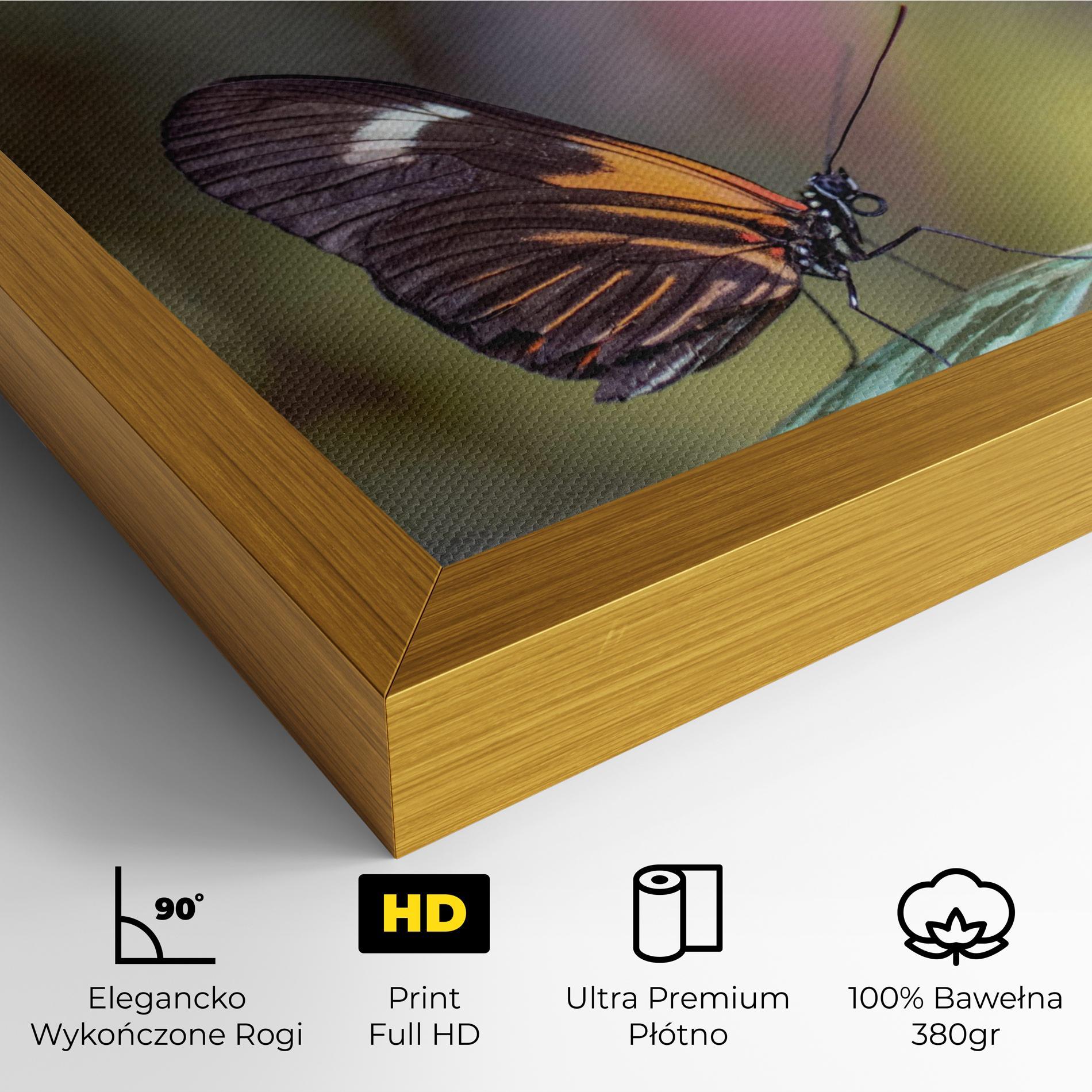 Obraz na Płótnie Dark Purple Butterfly mockup 4