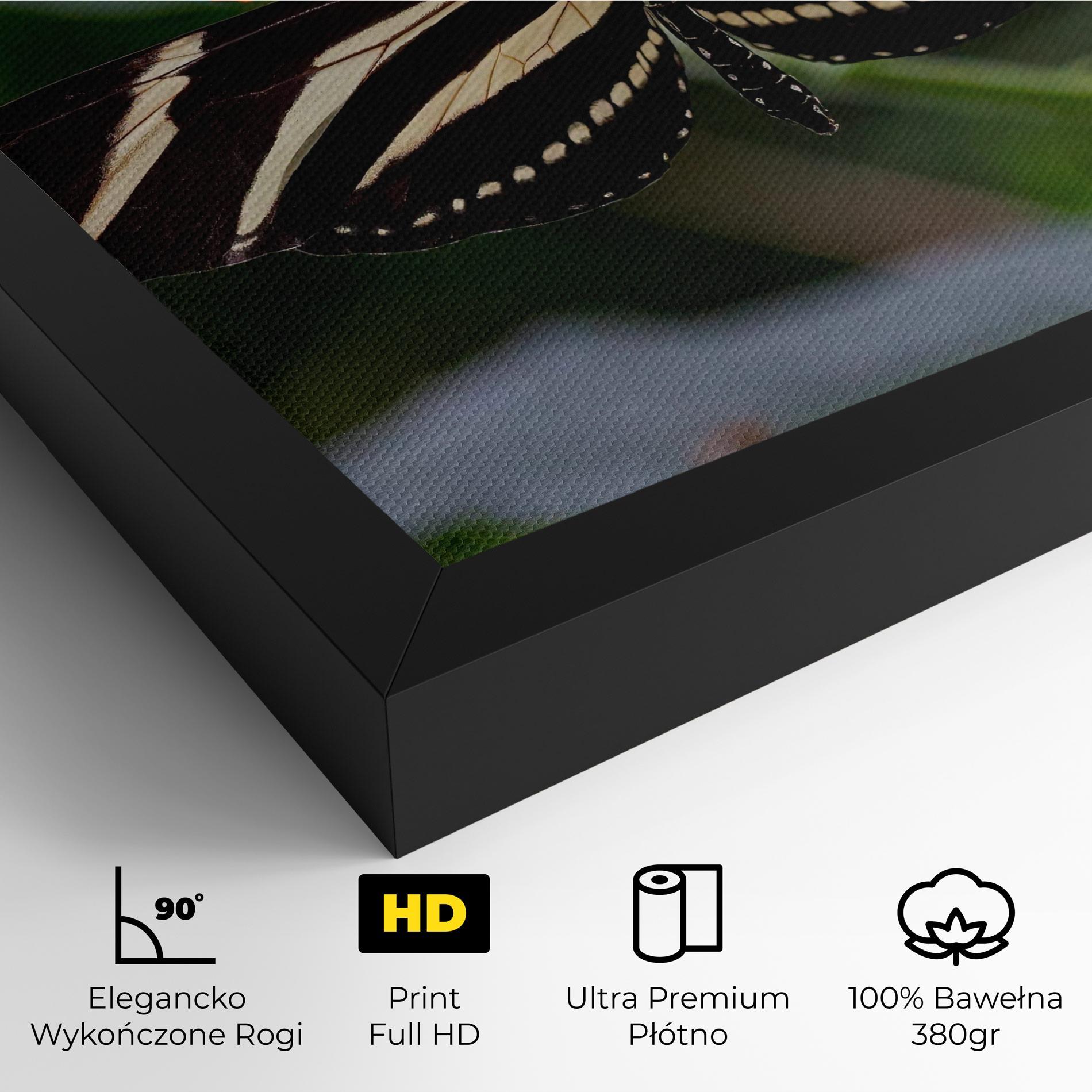 Obraz na Płótnie Big Wings Butterfly mockup 4