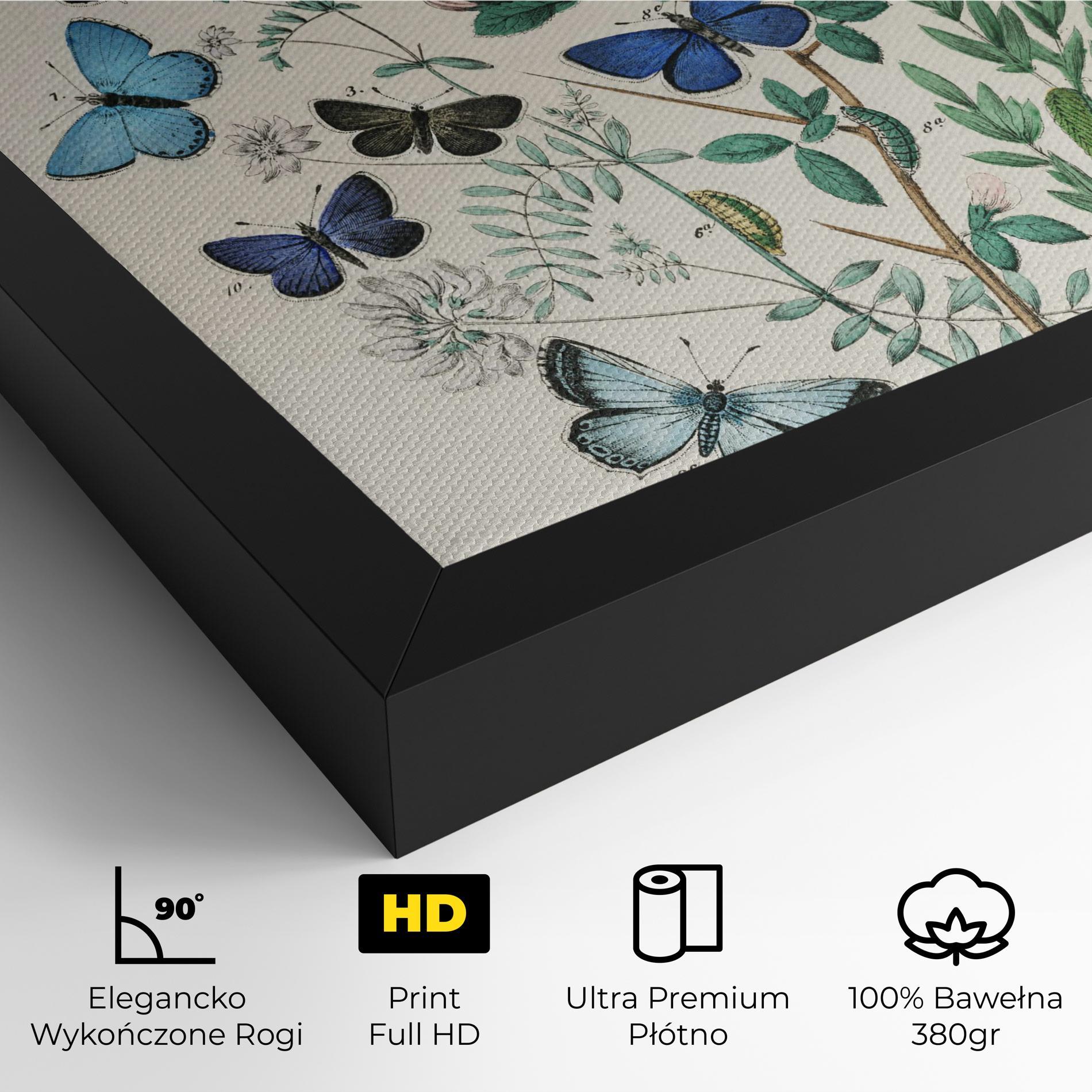 Obraz na Płótnie Blue Orange Butterflies mockup 4