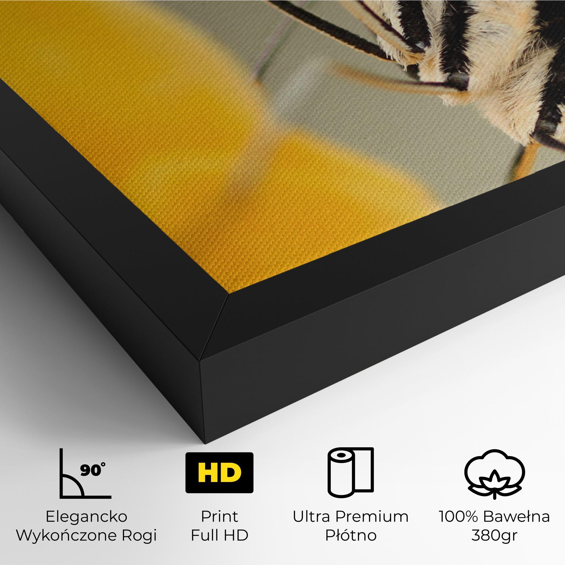 Obraz na Płótnie Close Up Cream Butterfly mockup 4