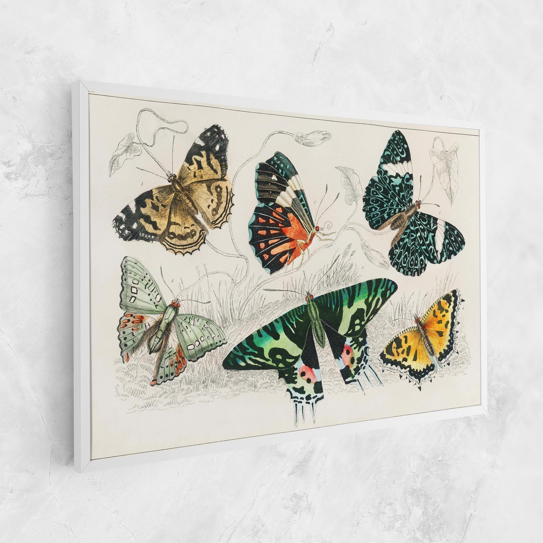 Obraz na Płótnie Butterfly Art mockup 1