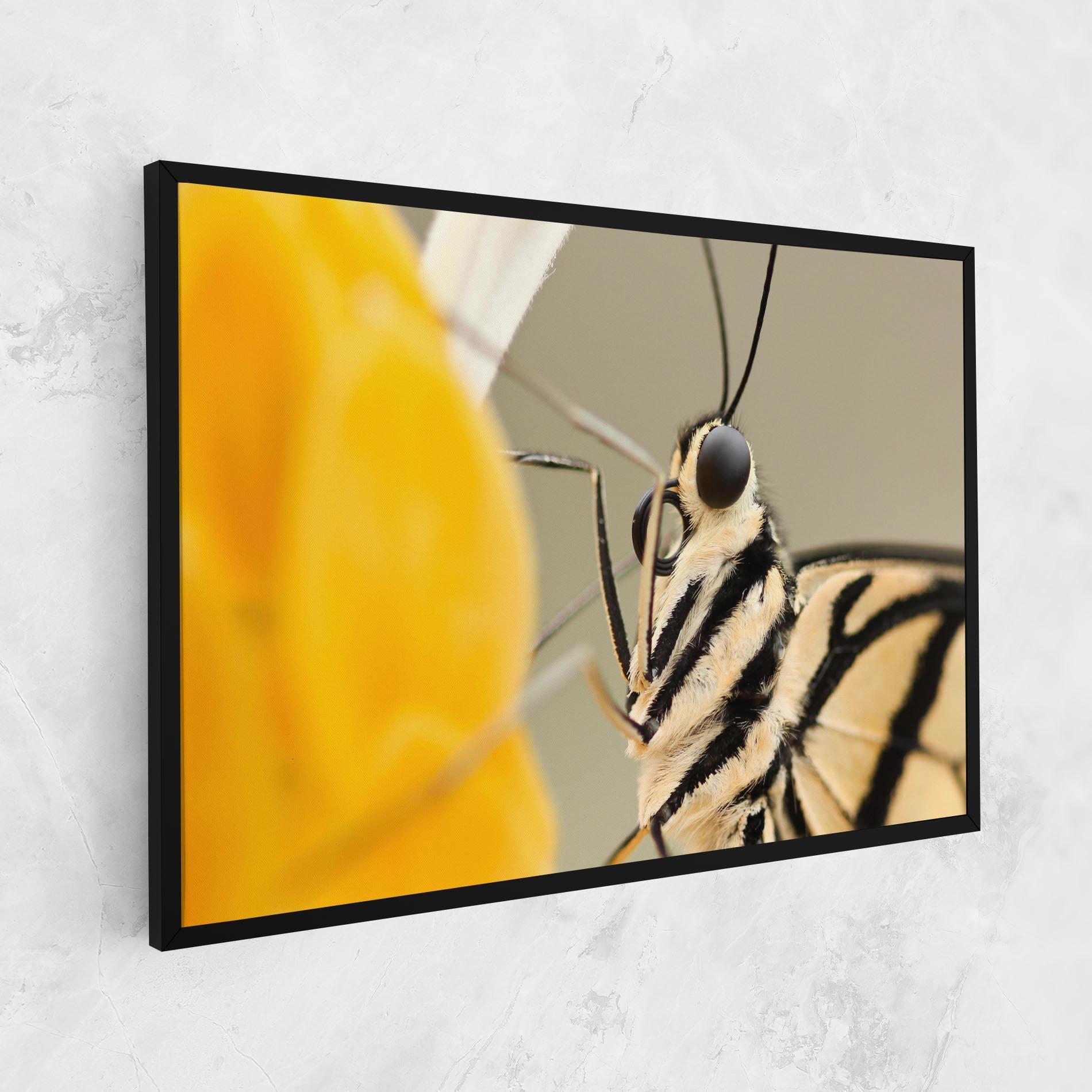 Obraz na Płótnie Close Up Cream Butterfly mockup 1