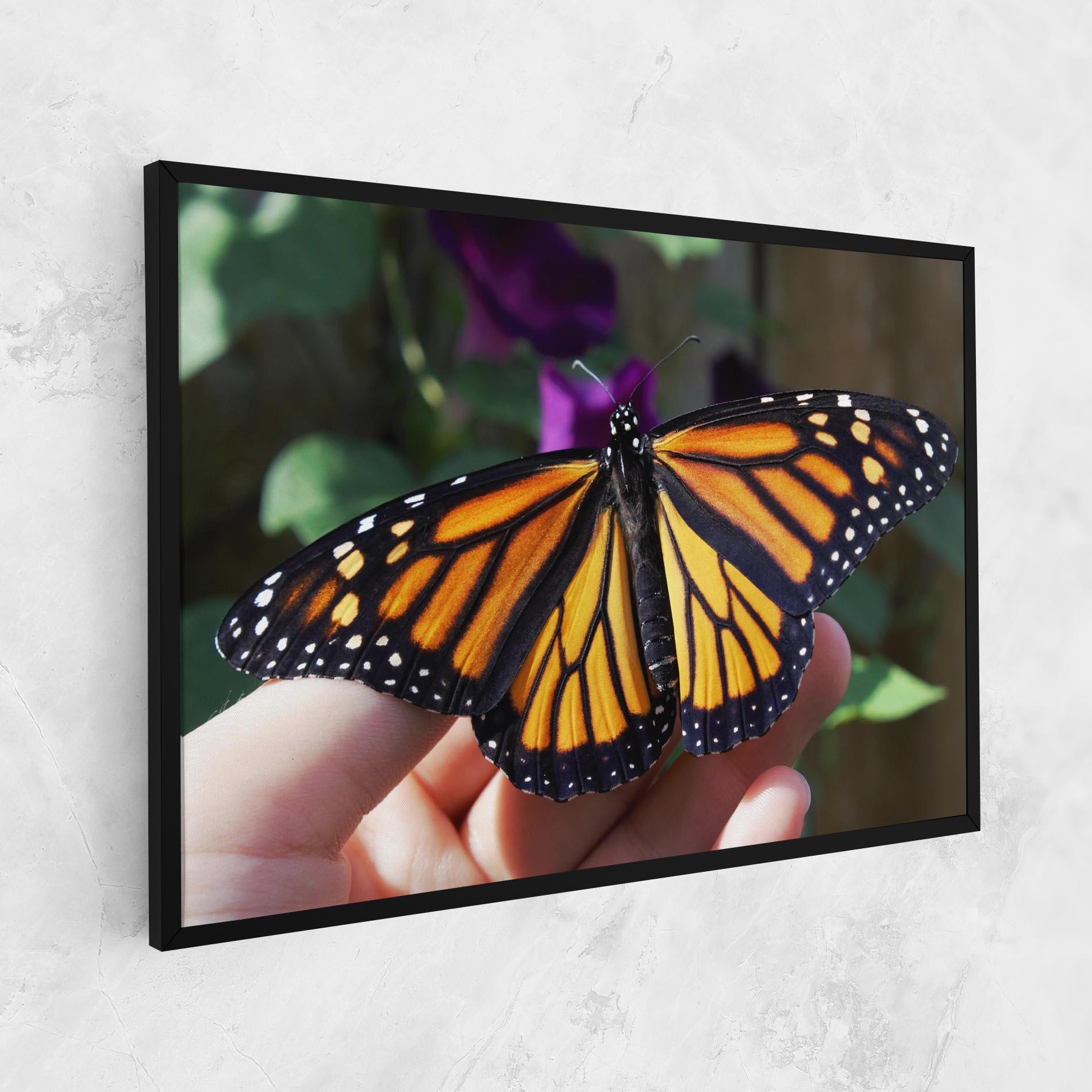 Obraz na Płótnie Open Orange Butterfly mockup 1