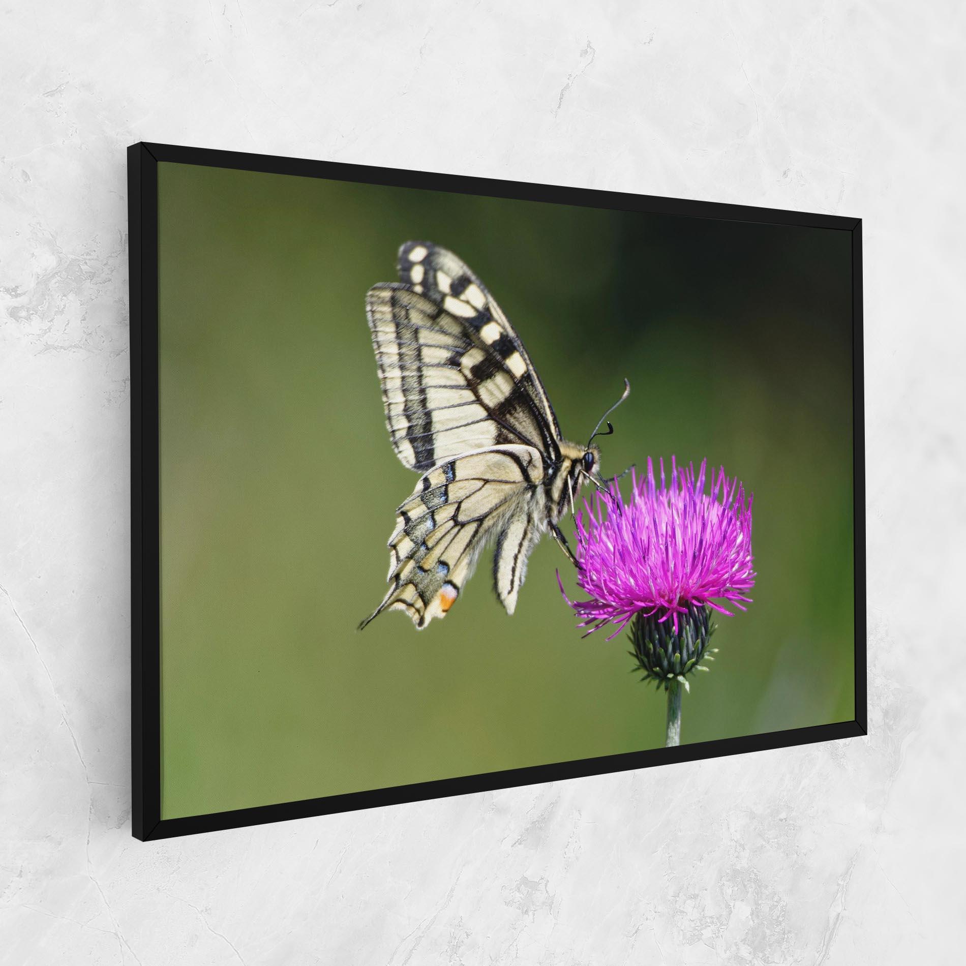 Obraz na Płótnie White Butterfly Pollen mockup 1