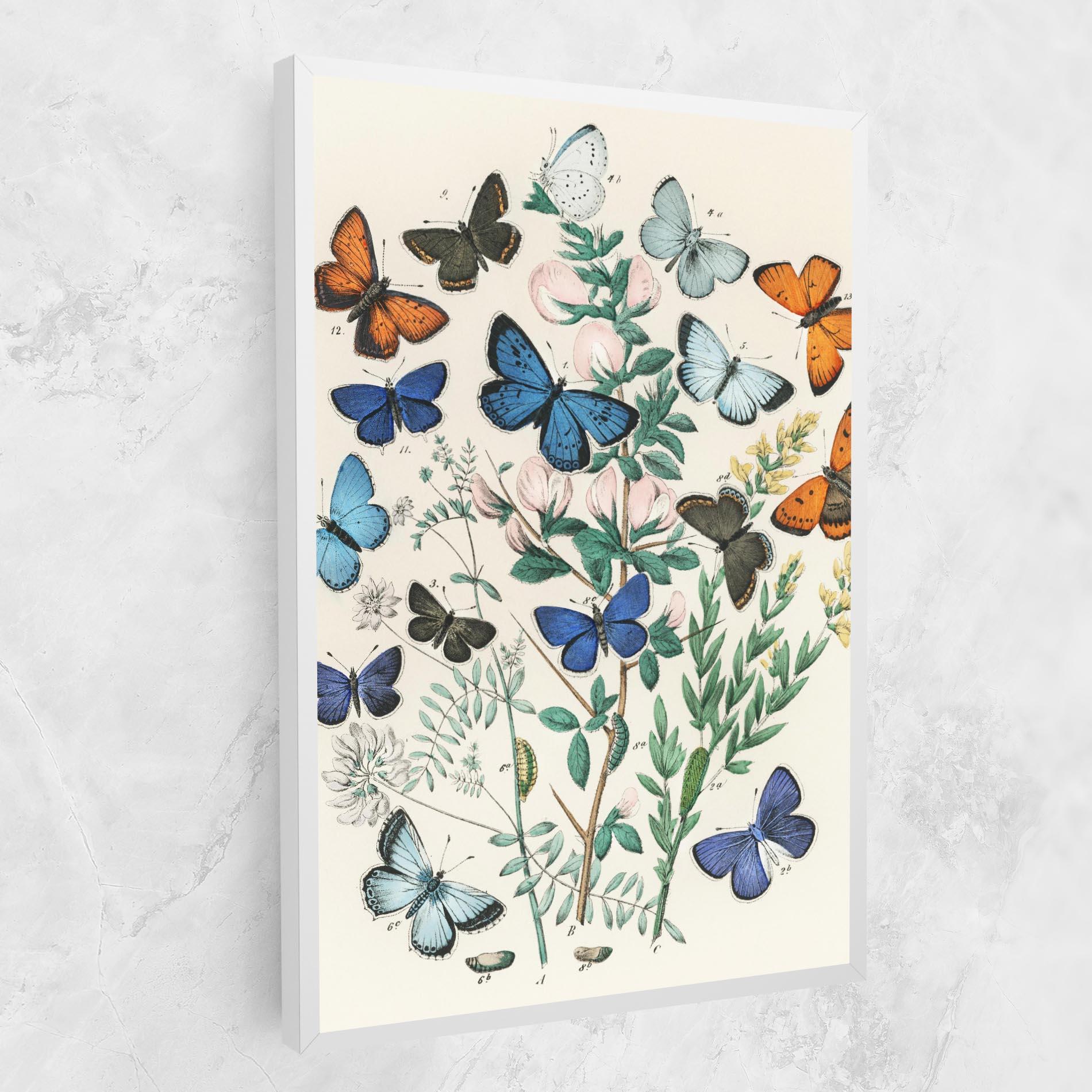 Obraz na Płótnie Blue Orange Butterflies mockup 1