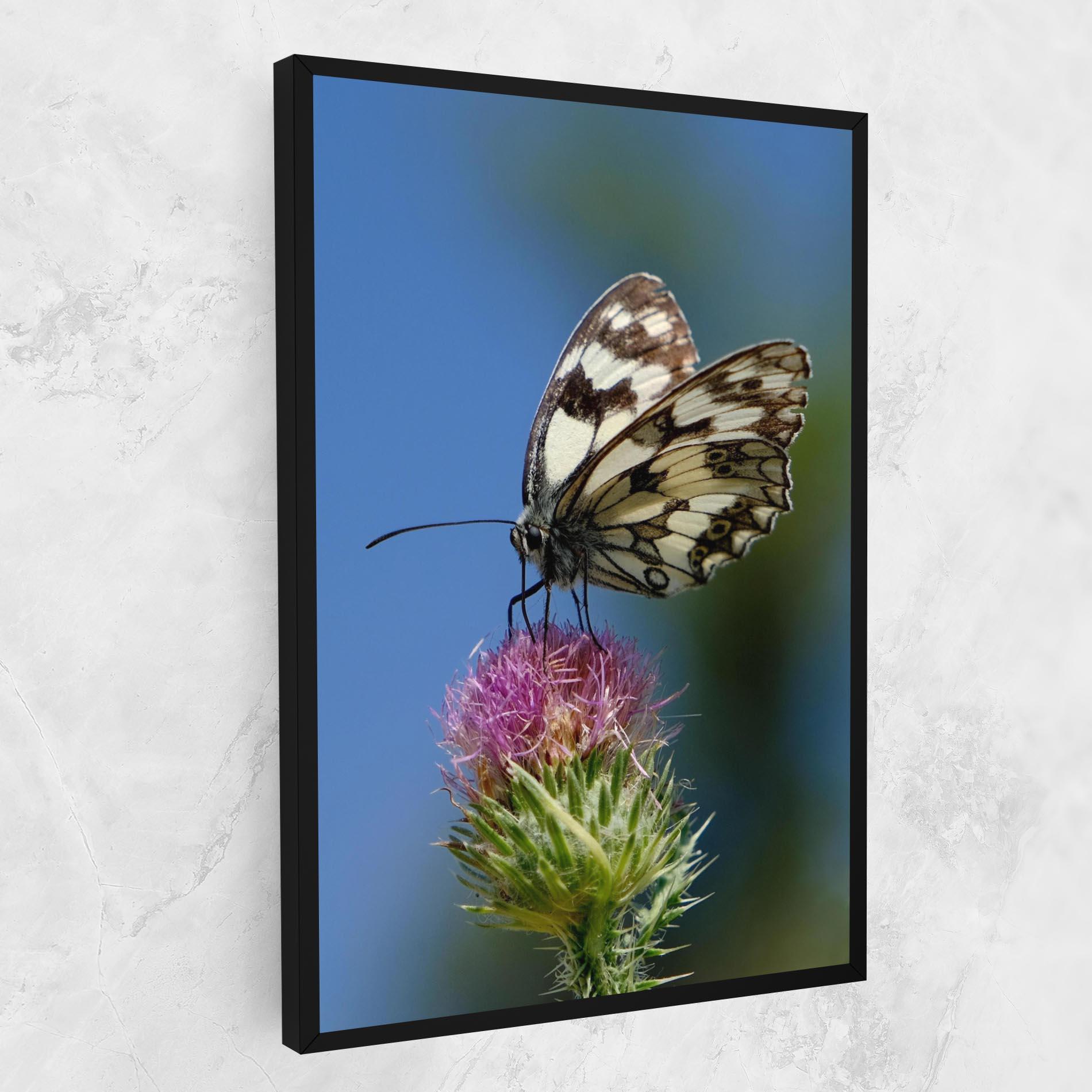 Obraz na Płótnie Grey White Butterfly mockup 1