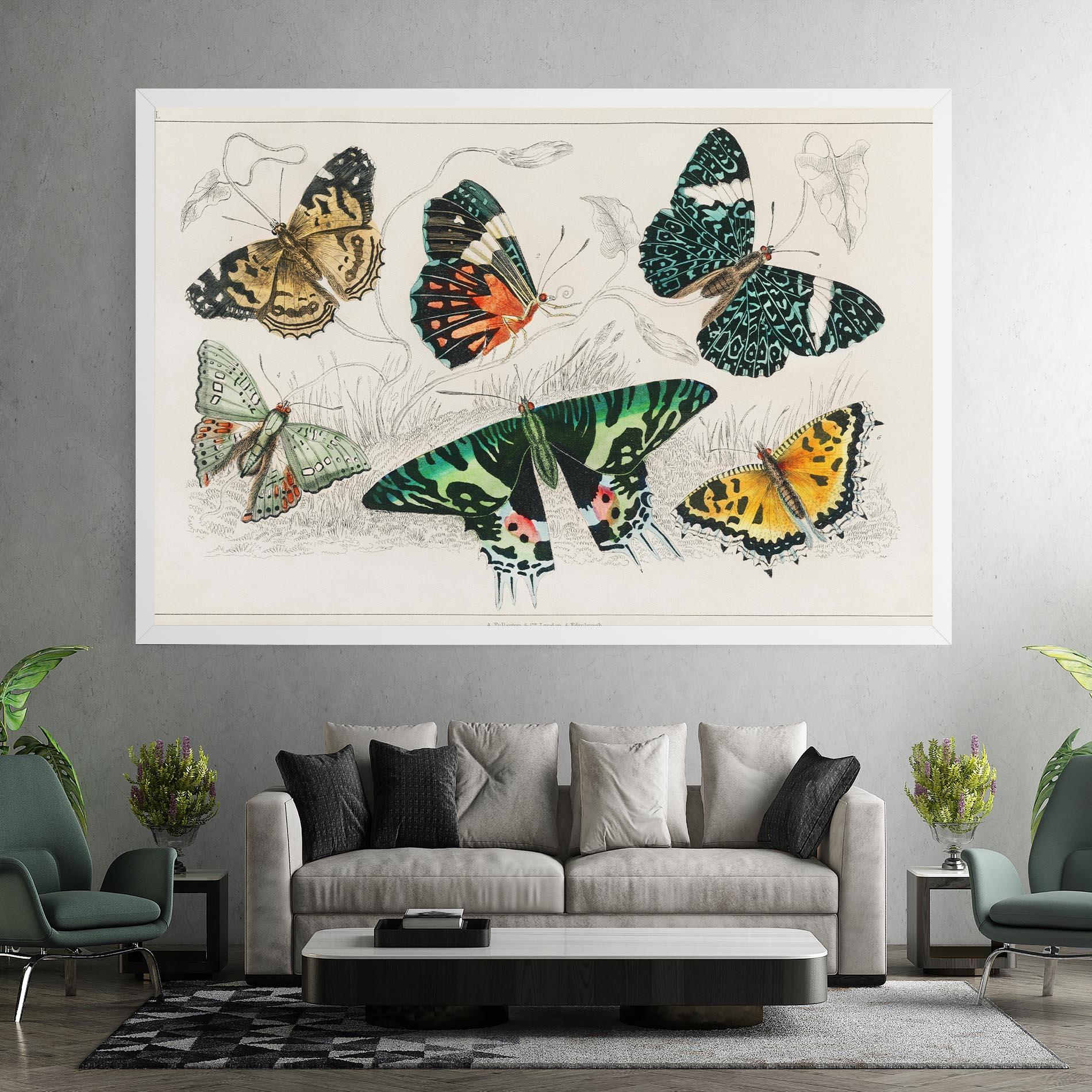 Obraz na Płótnie Butterfly Art mockup 7