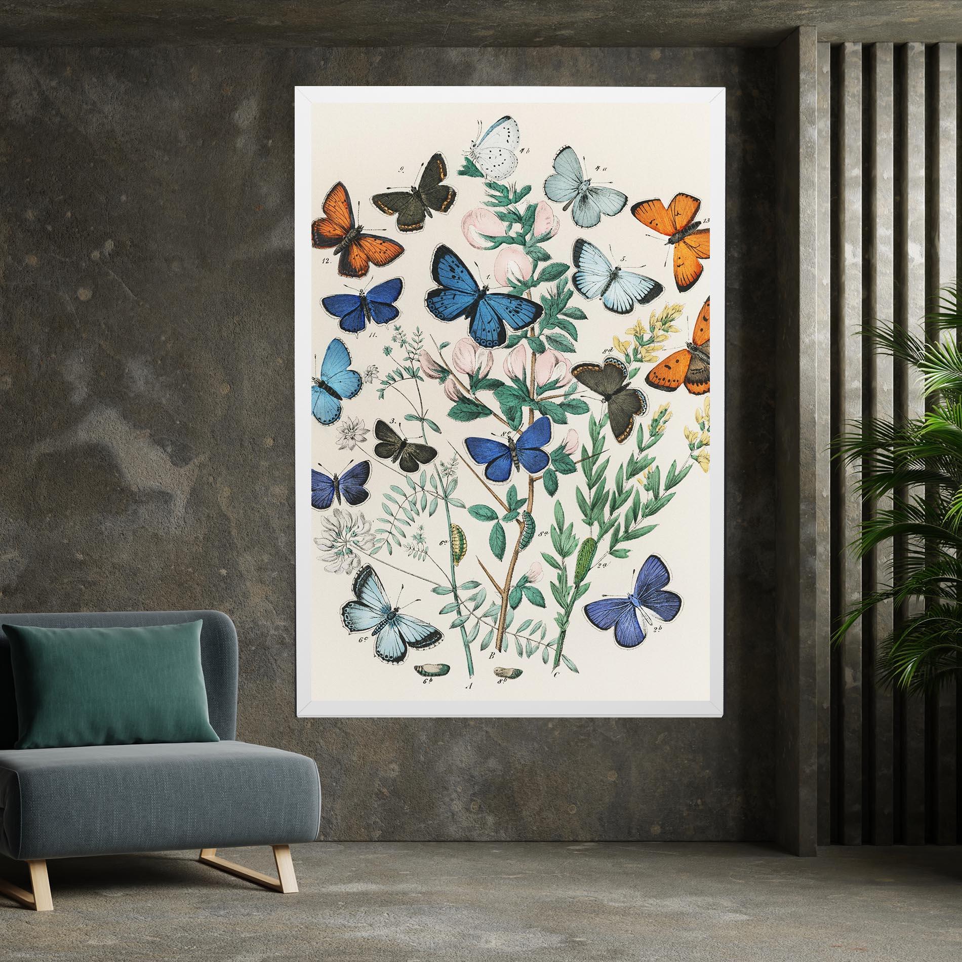 Obraz na Płótnie Blue Orange Butterflies mockup 7