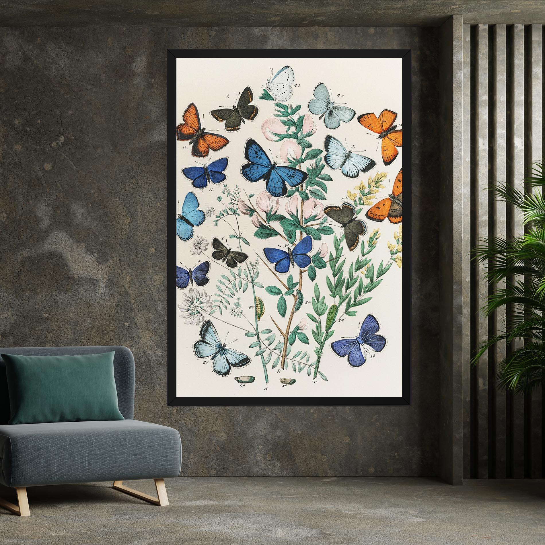 Obraz na Płótnie Blue Orange Butterflies mockup 7