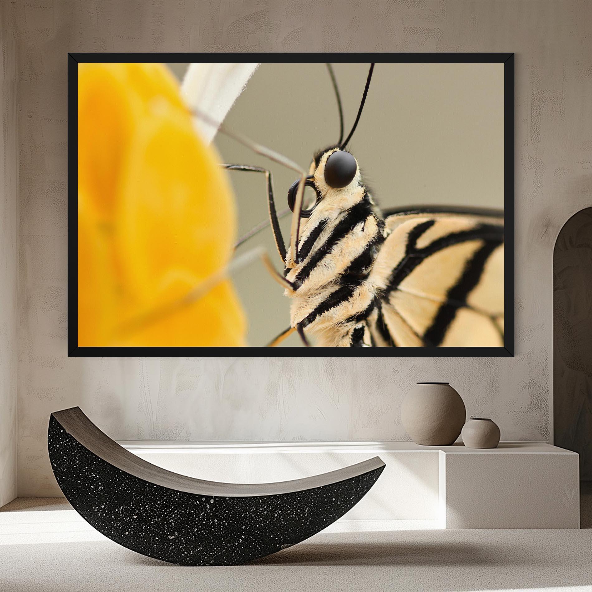 Obraz na Płótnie Close Up Cream Butterfly mockup 8