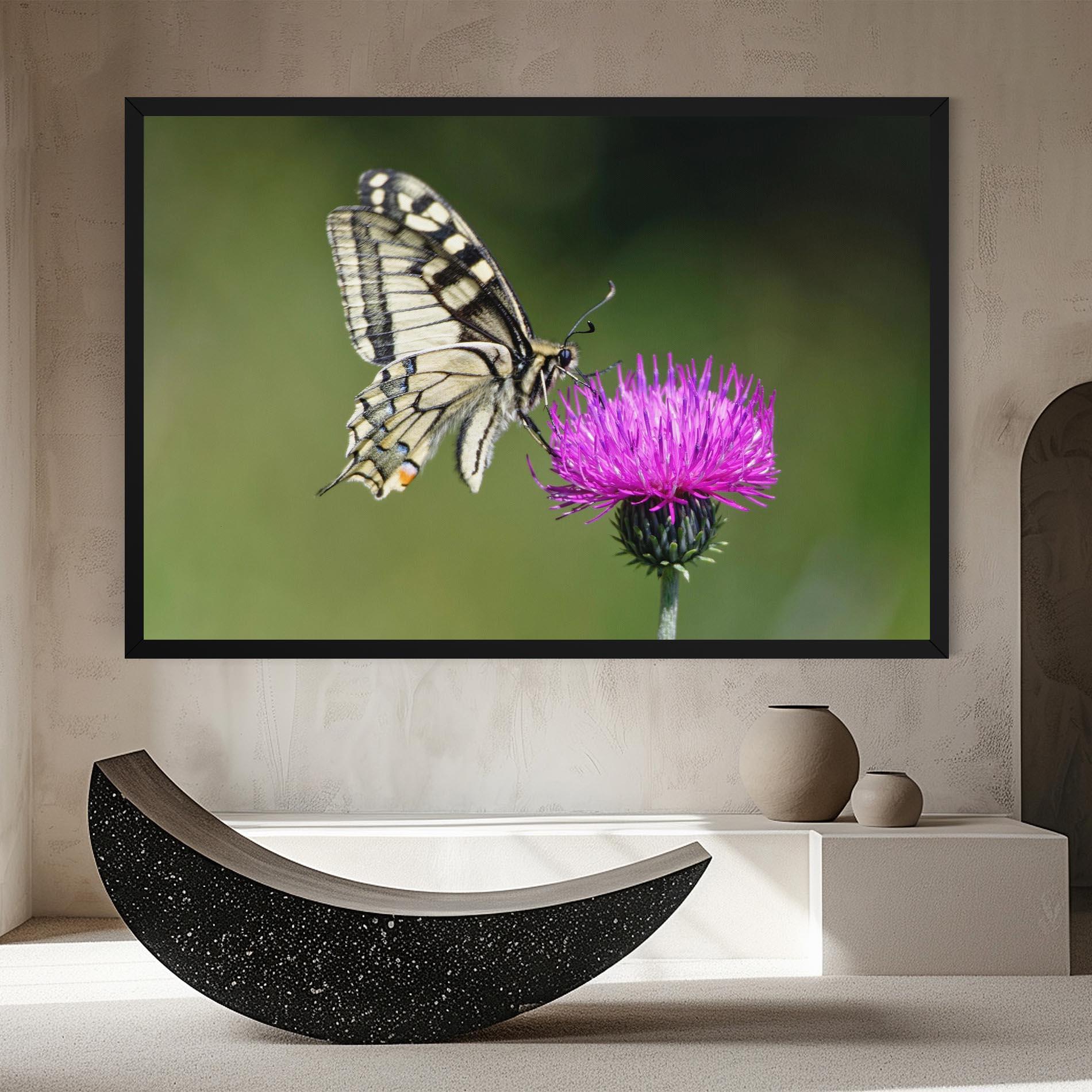 Obraz na Płótnie White Butterfly Pollen mockup 8