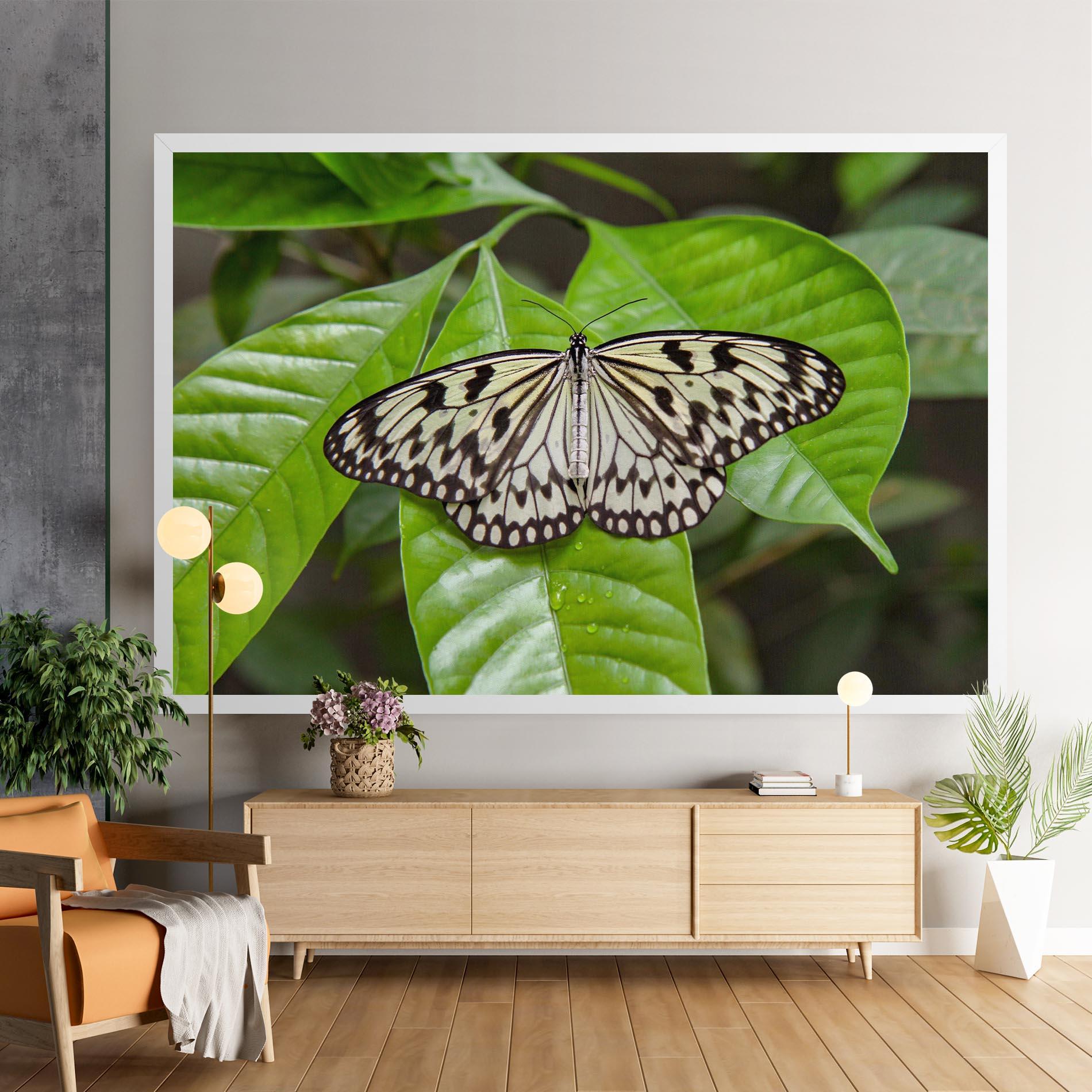 Obraz na Płótnie Beautiful White Butterfly mockup 9