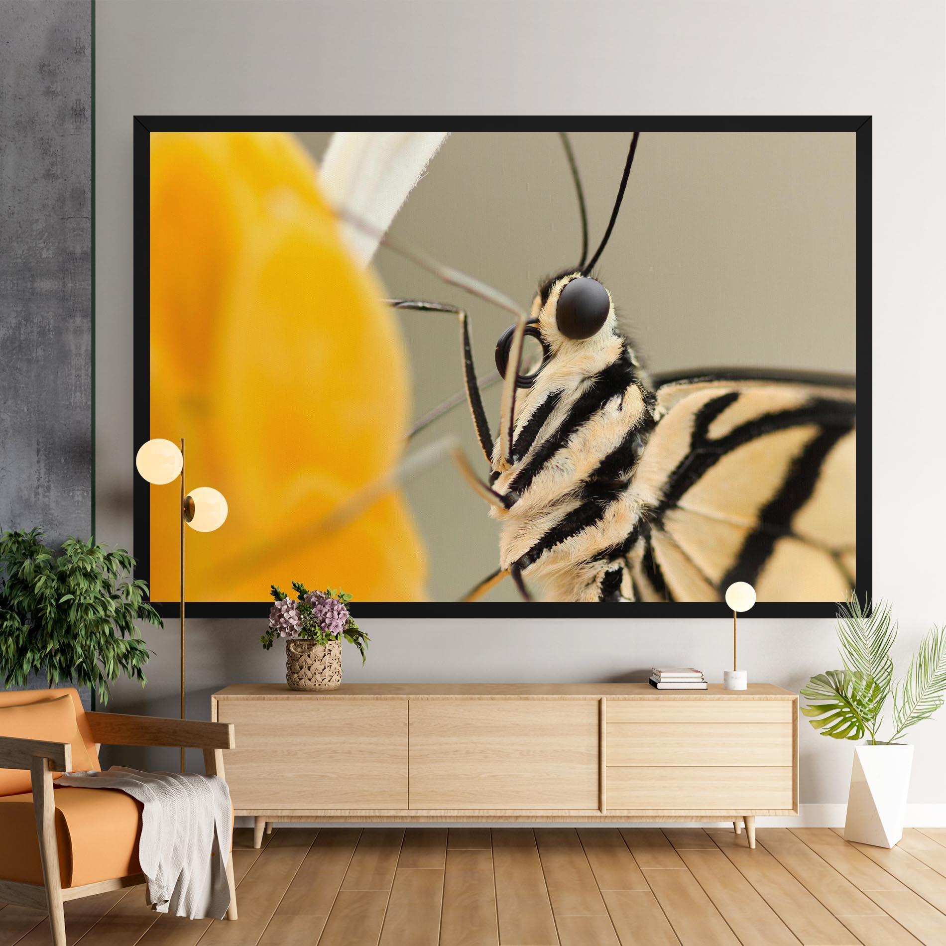 Obraz na Płótnie Close Up Cream Butterfly mockup 9