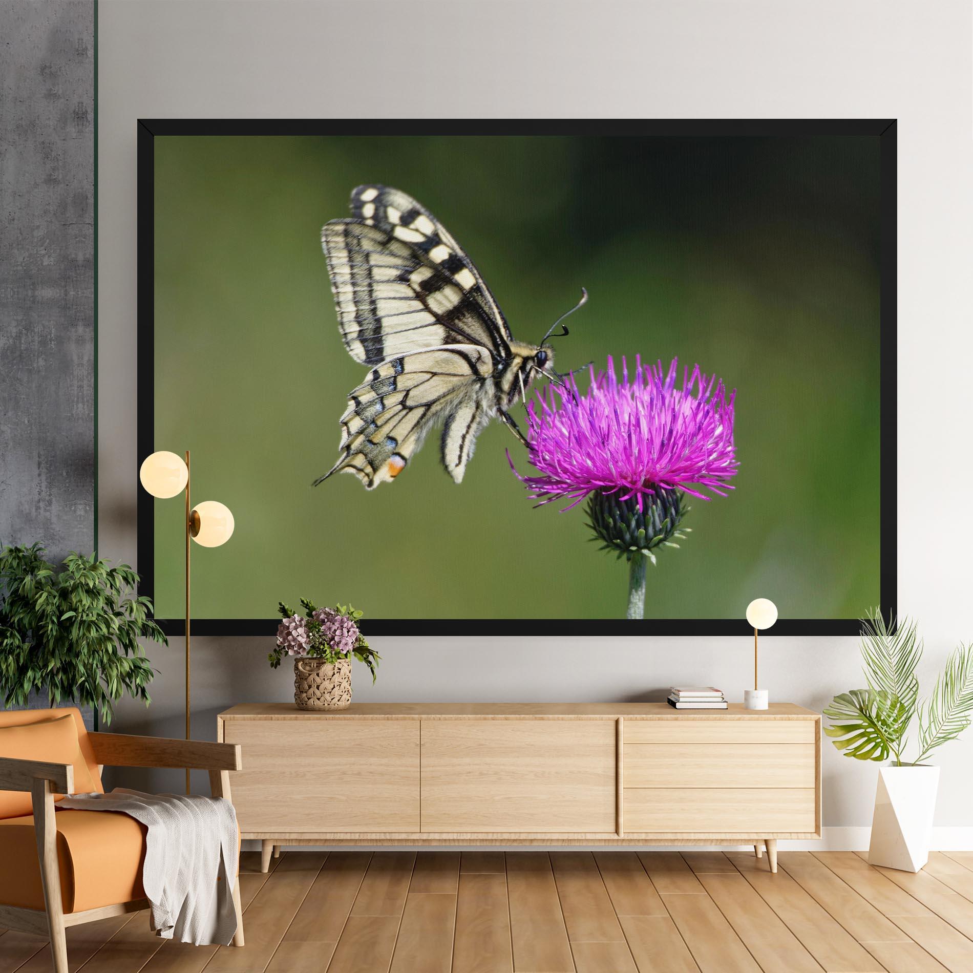 Obraz na Płótnie White Butterfly Pollen mockup 9