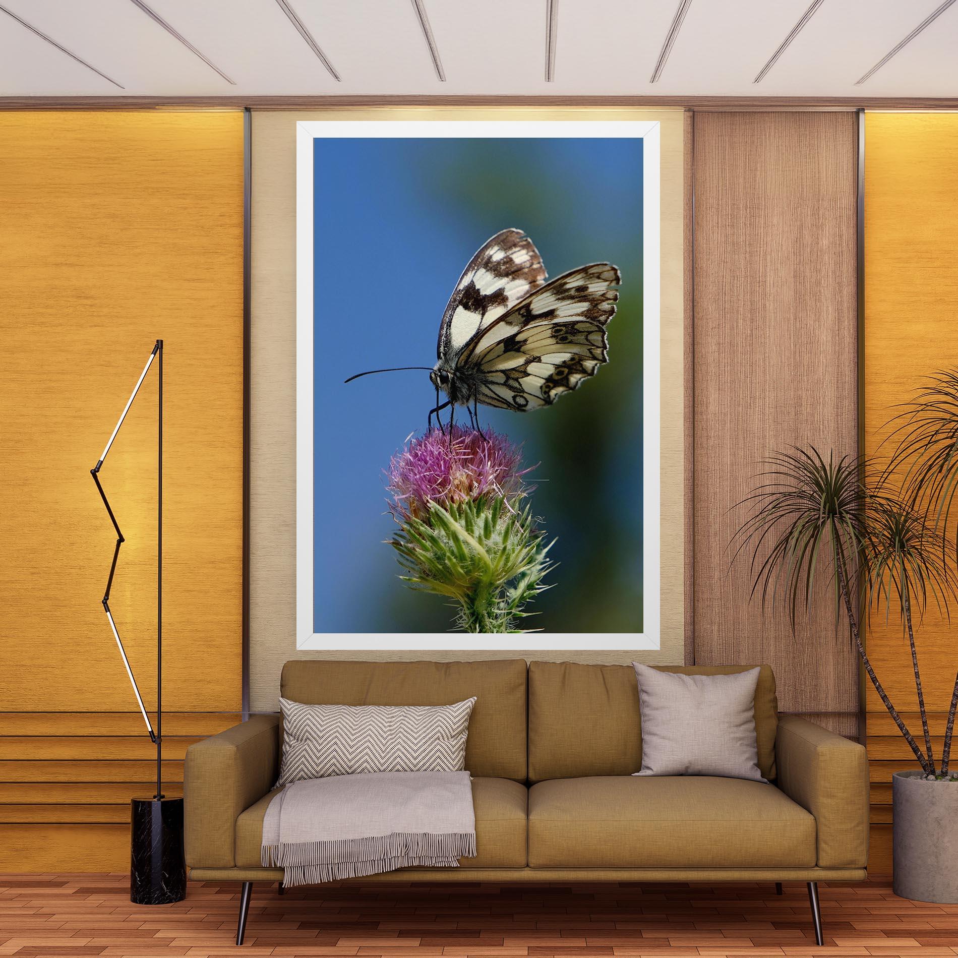 Obraz na Płótnie Grey White Butterfly mockup 9