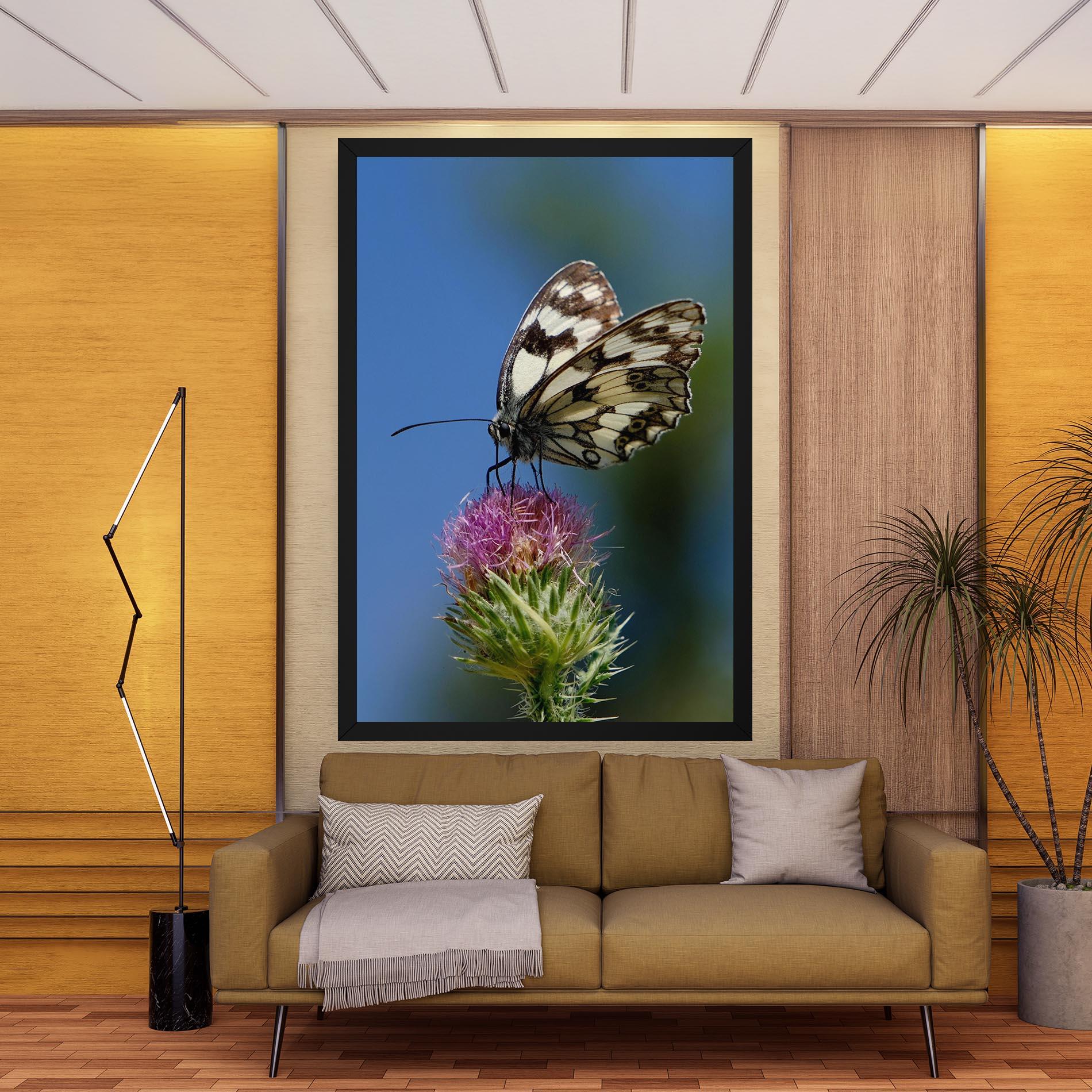 Obraz na Płótnie Grey White Butterfly mockup 9