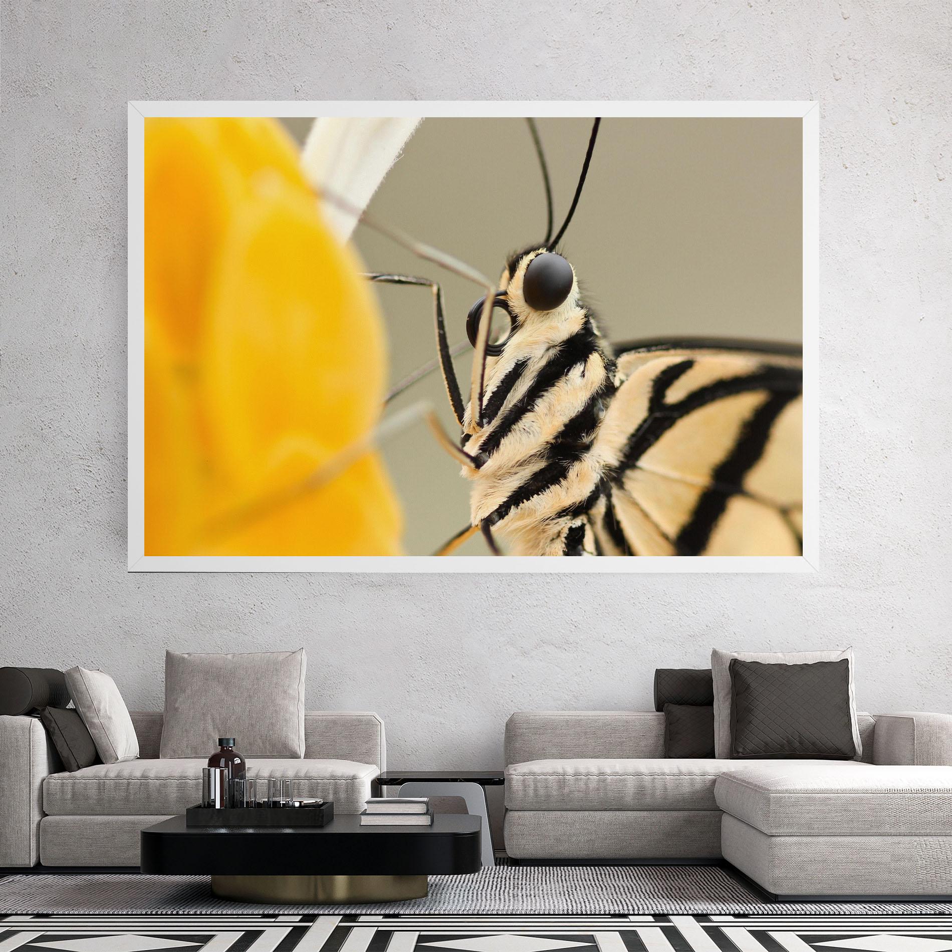 Obraz na Płótnie Close Up Cream Butterfly mockup 2