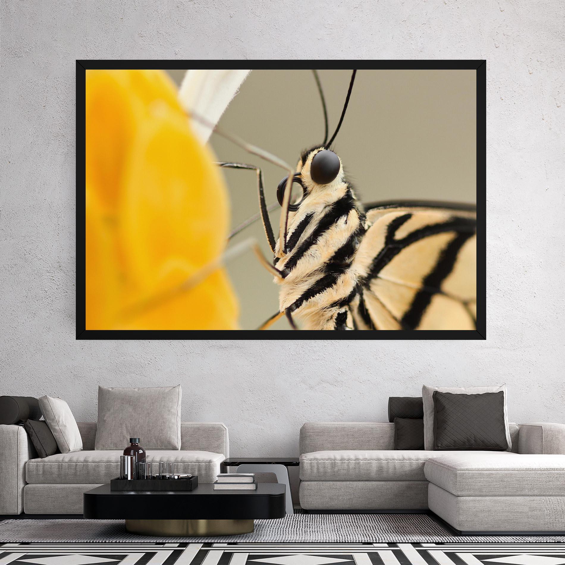 Obraz na Płótnie Close Up Cream Butterfly mockup 2