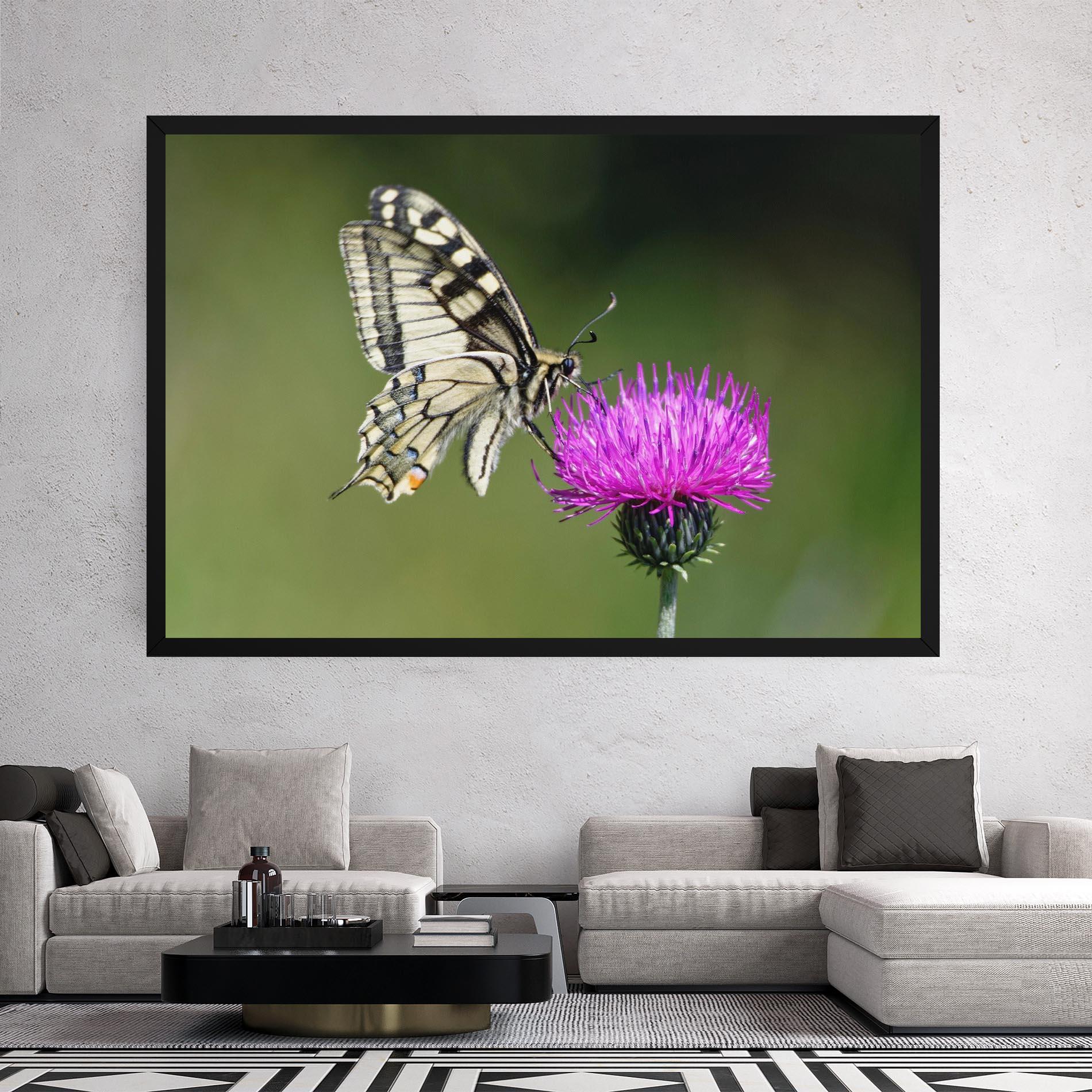 Obraz na Płótnie White Butterfly Pollen mockup 2