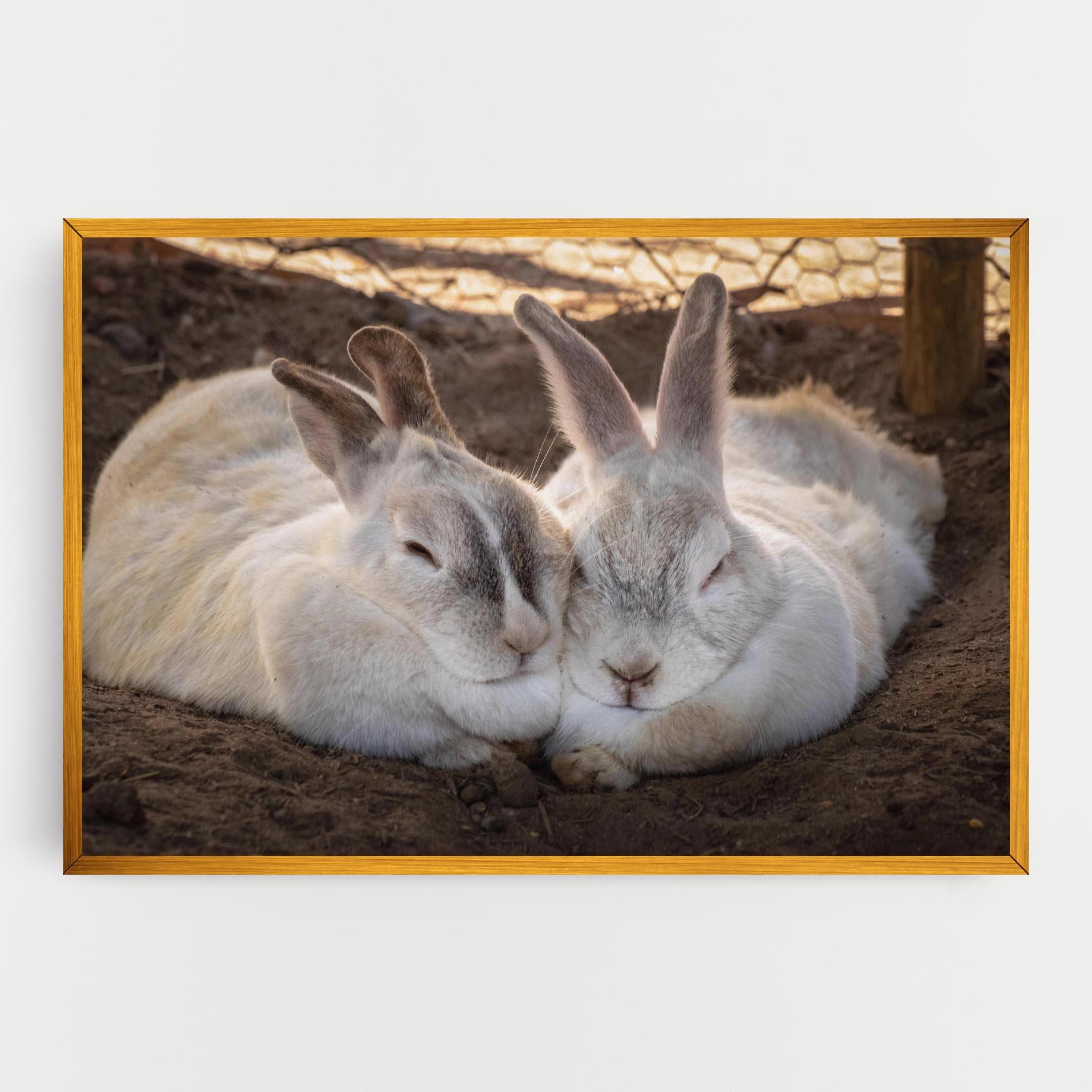 Obraz na Płótnie Light Grey Bunny Sleeping mockup 0