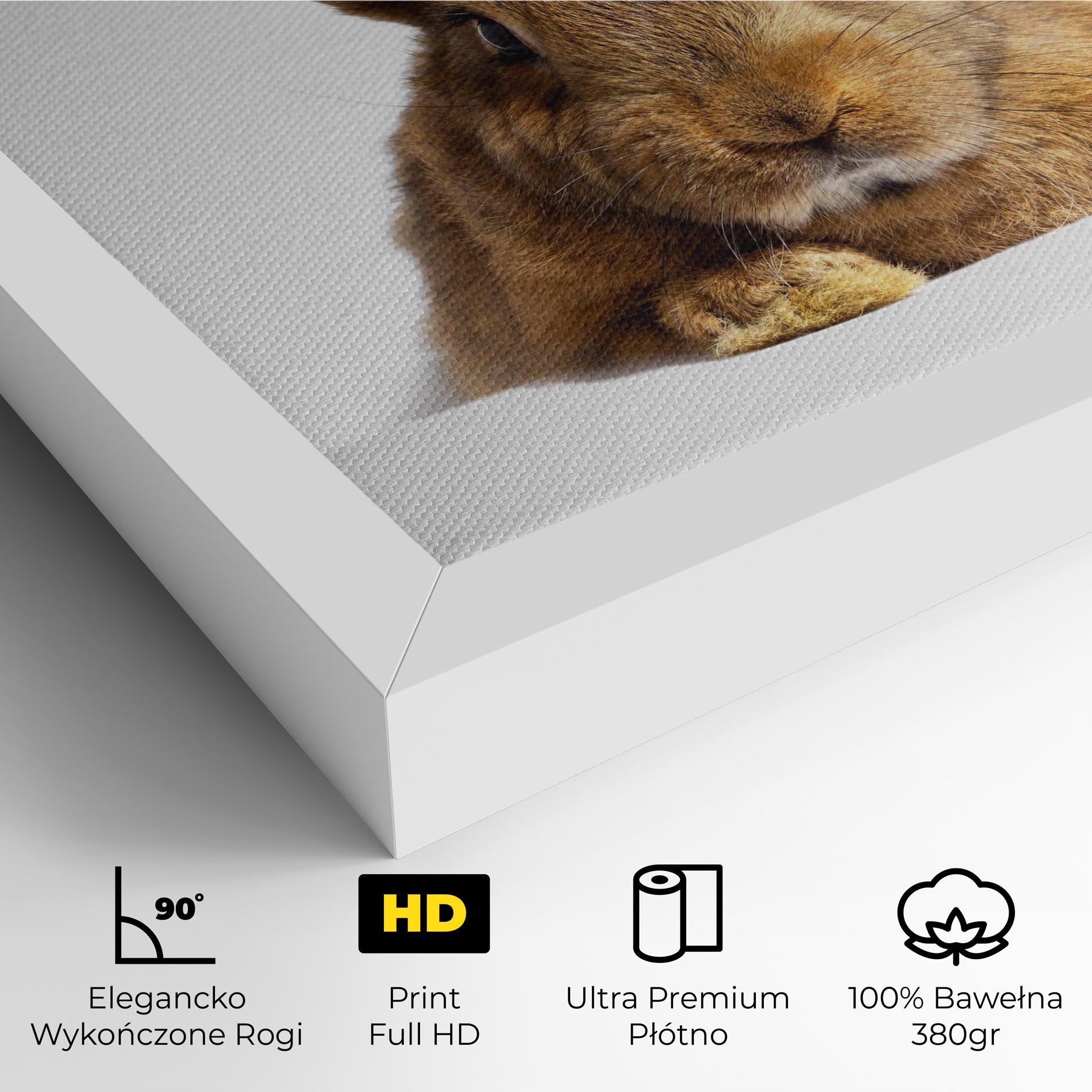 Obraz na Płótnie Brown Cute Bunny mockup 4