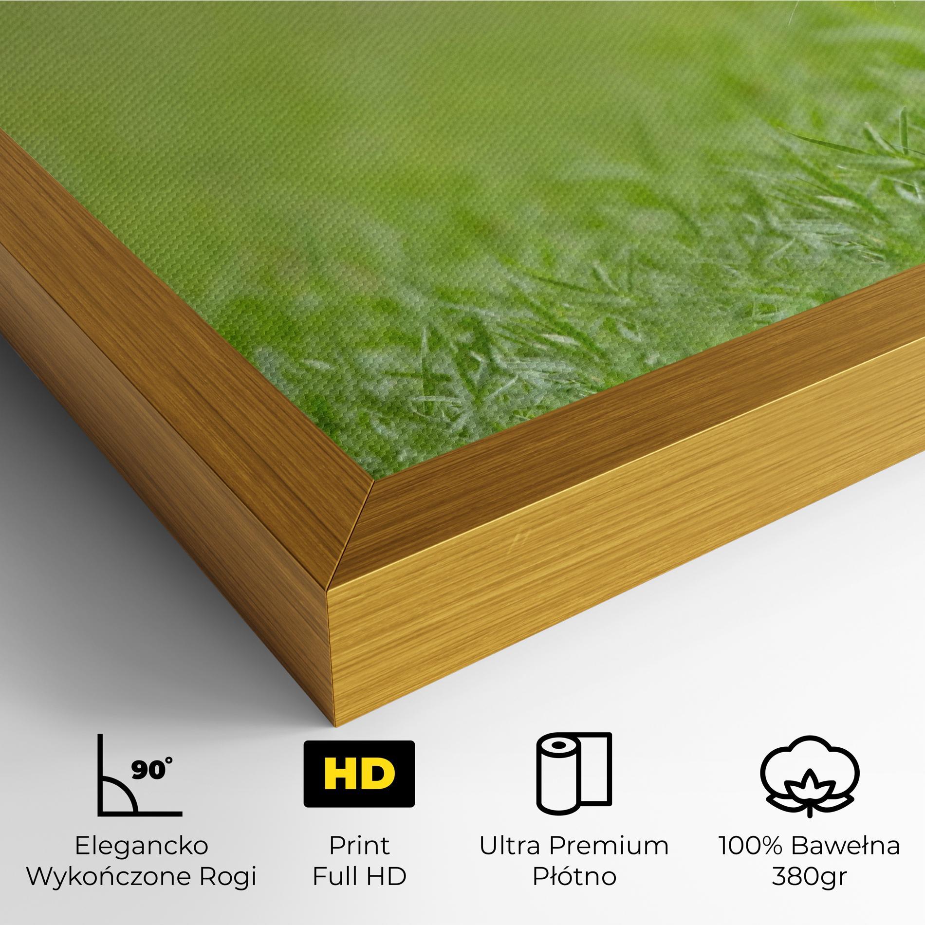 Obraz na Płótnie Brown Hares mockup 4