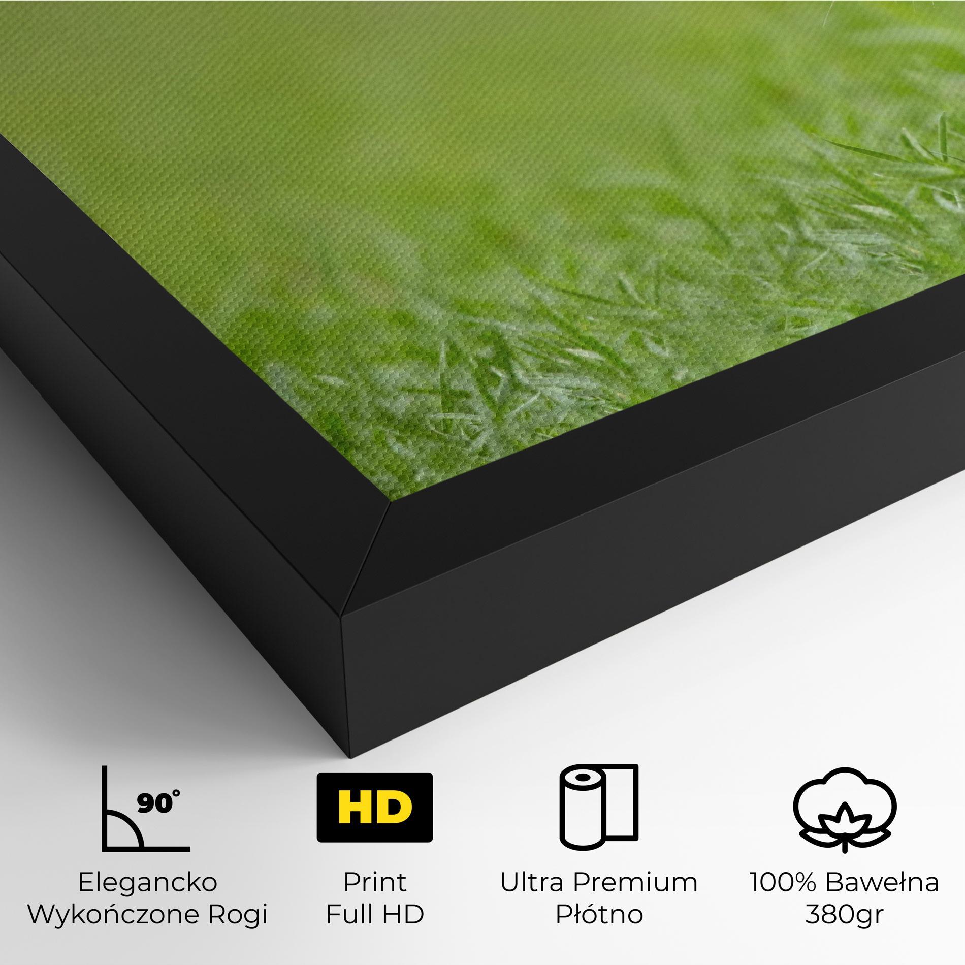 Obraz na Płótnie Brown Hares mockup 4