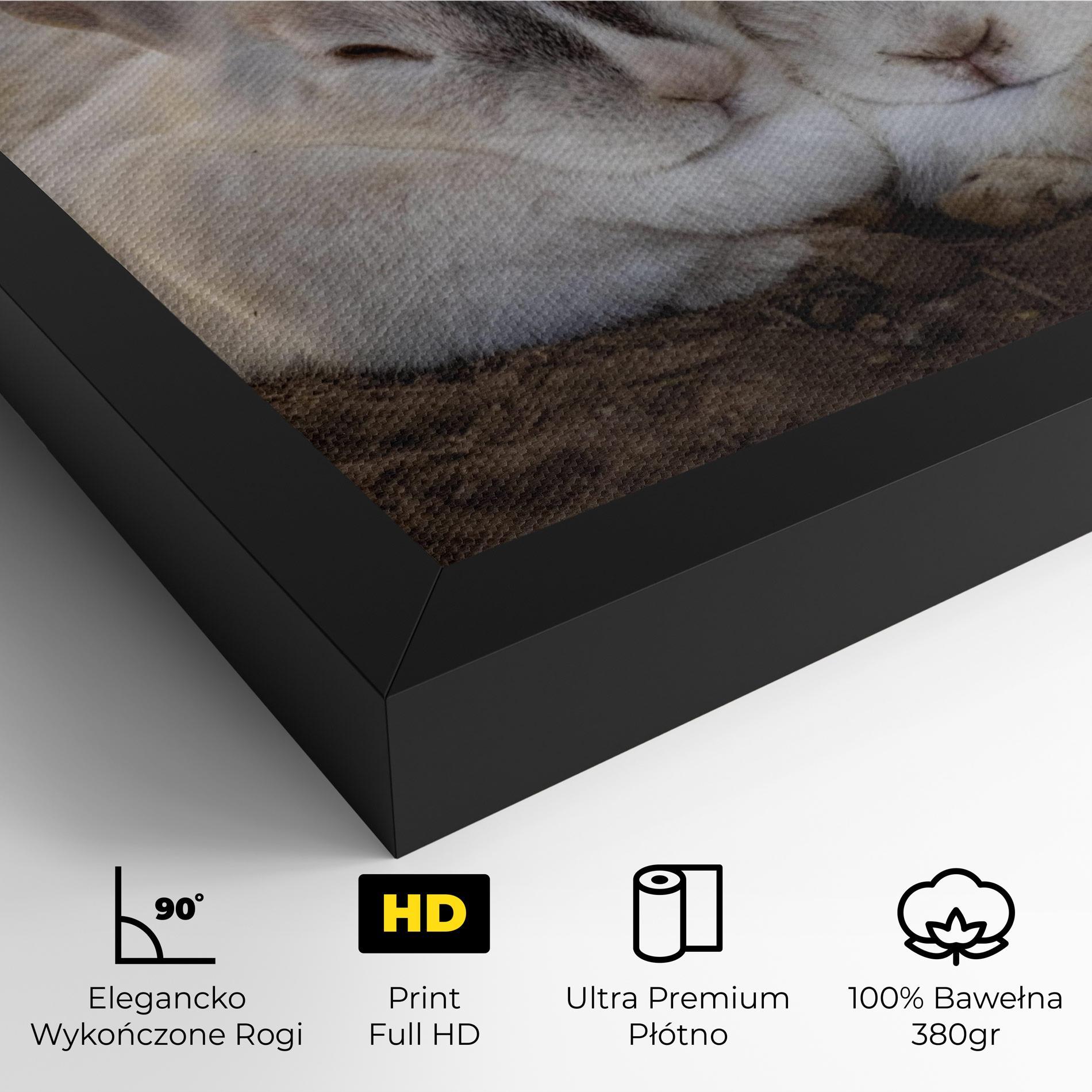 Obraz na Płótnie Light Grey Bunny Sleeping mockup 4
