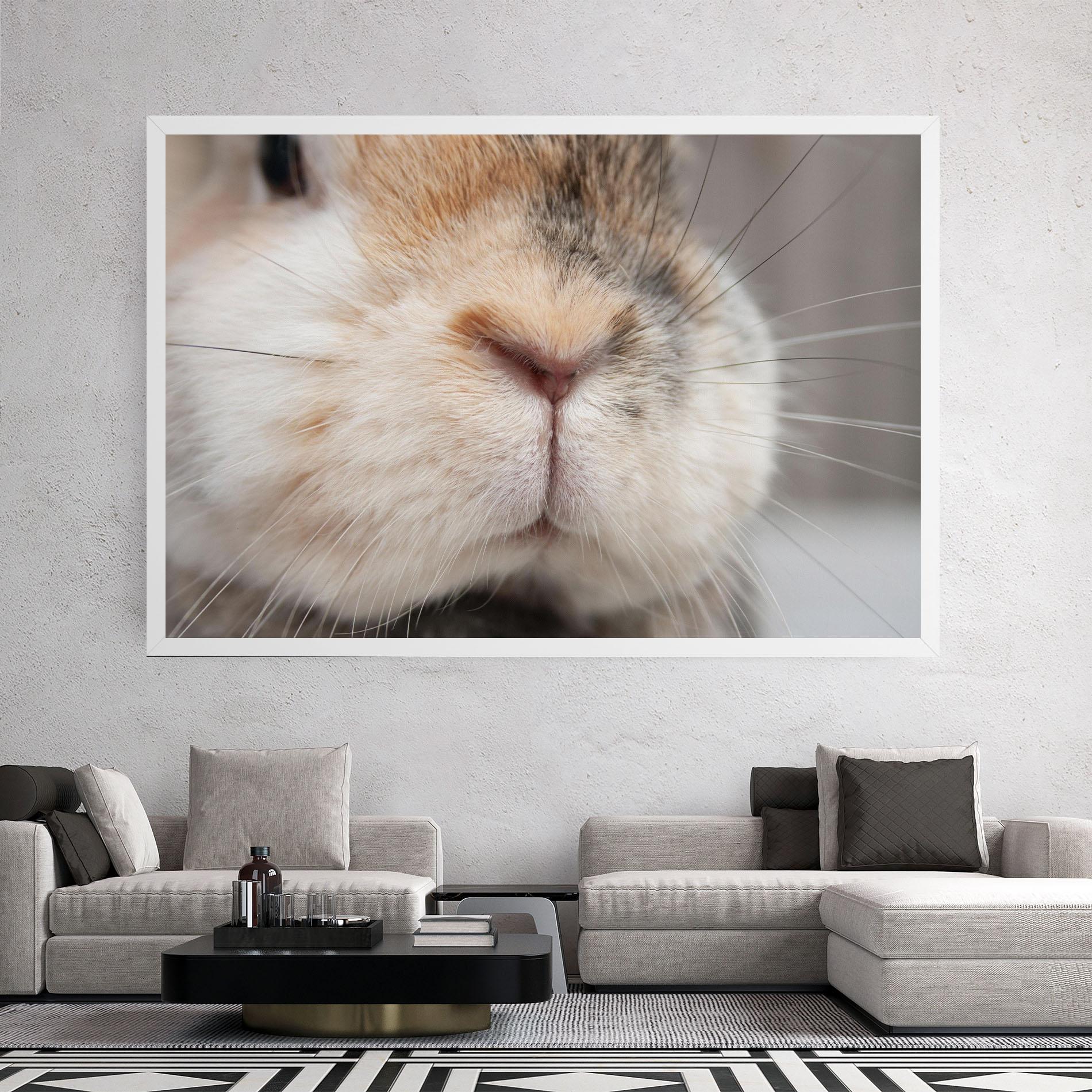 Obraz na Płótnie Close Up Bunny mockup 2